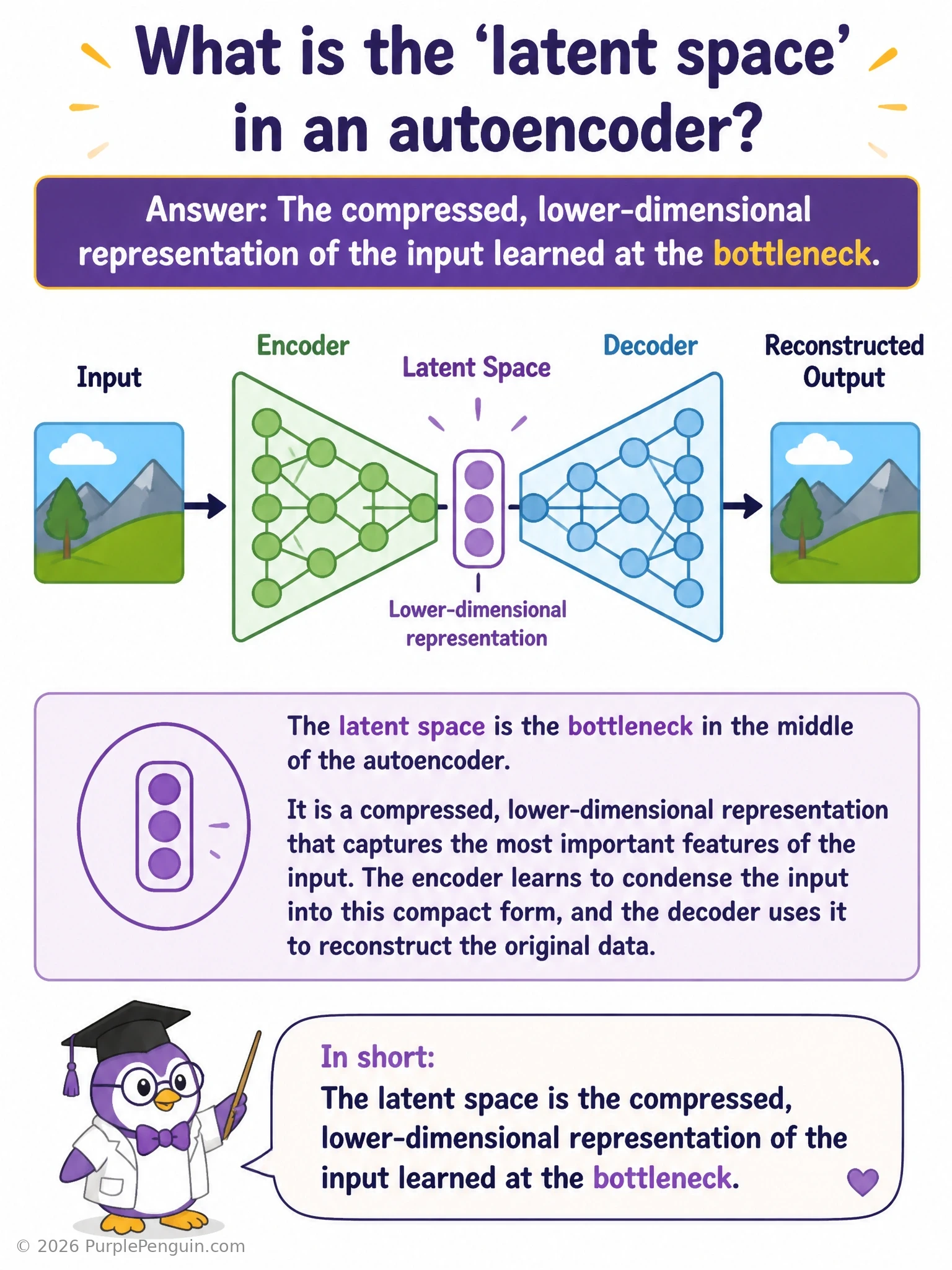 Diagram of an autoencoder showing an input being compressed by the encoder into a point within a lower-dimensional latent space, with nearby points representing similar inputs, and the decoder expanding a latent point back into reconstructed data.