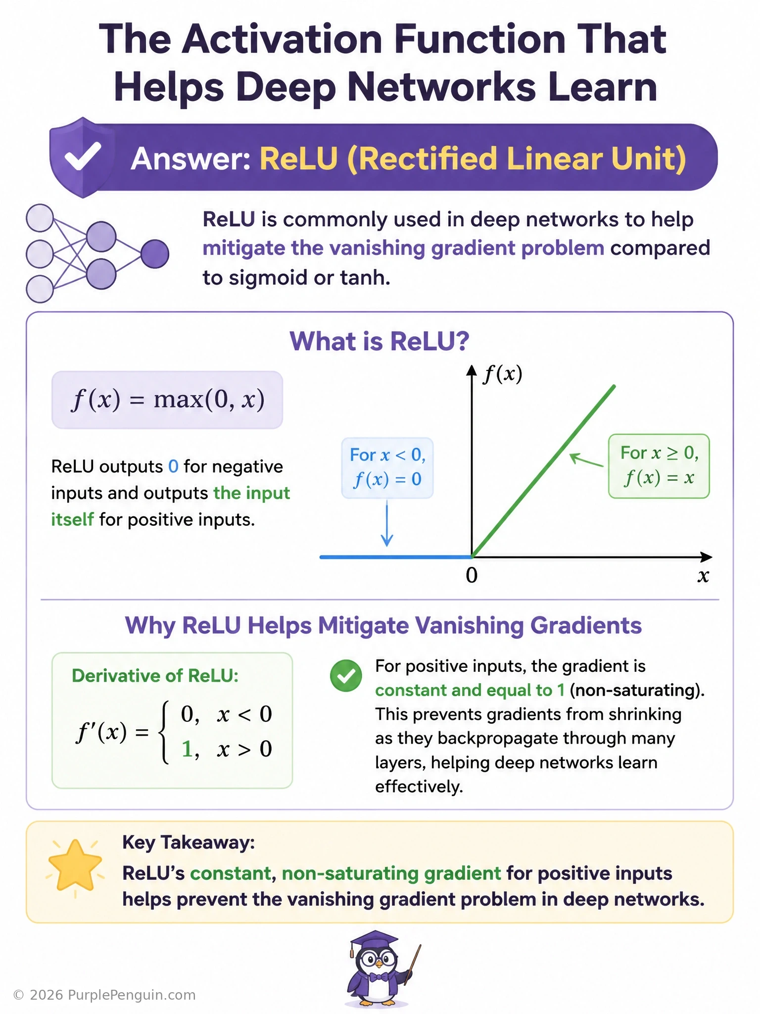 Side-by-side plots comparing sigmoid and tanh curves flattening with near-zero derivative at the extremes against the ReLU curve maintaining a constant slope of 1 for all positive inputs, illustrating why ReLU mitigates vanishing gradients.