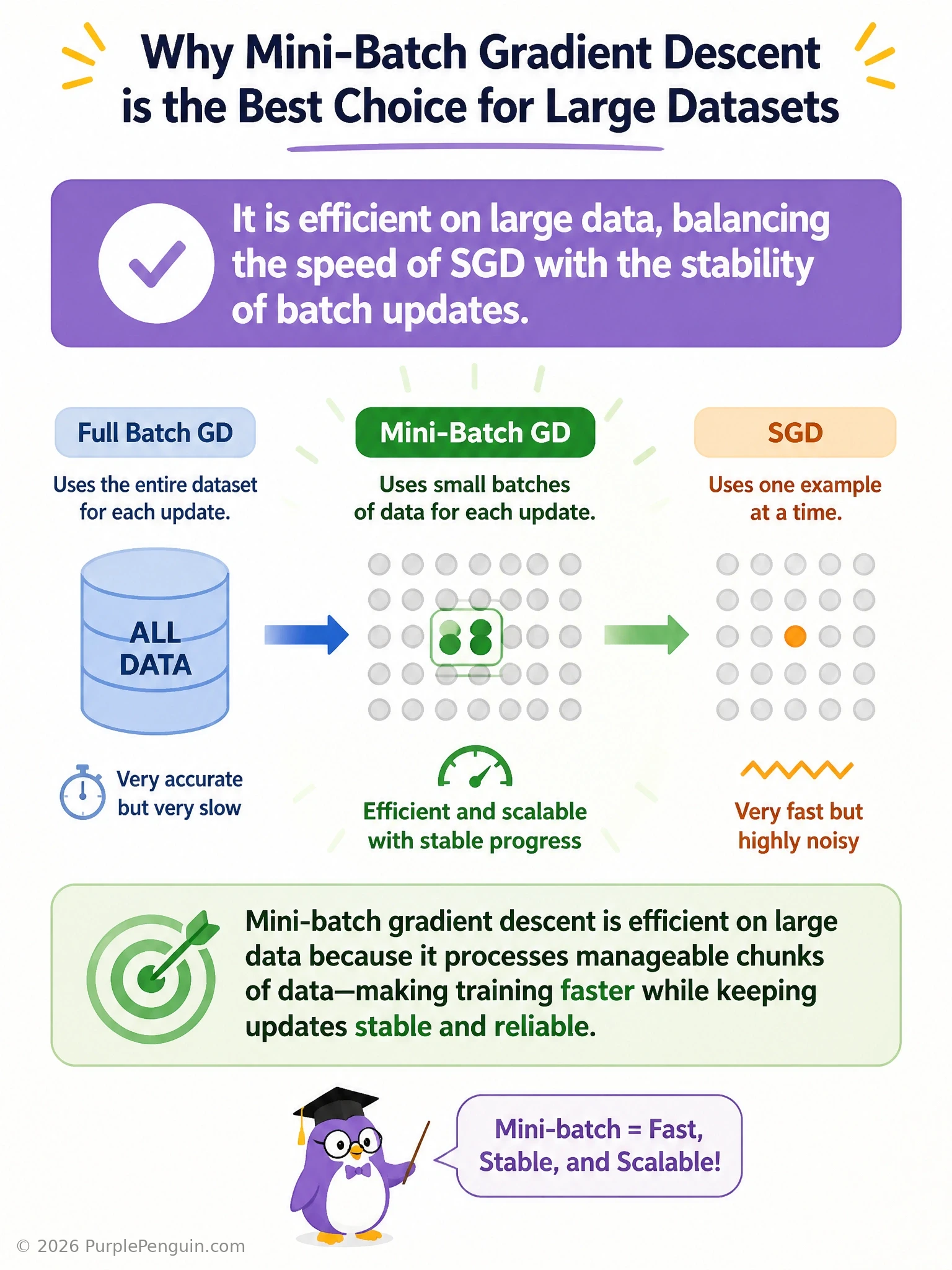 An infographic showing a spectrum with three points: pure SGD (single example, fast but noisy zigzag path), mini-batch (a chunk of examples, moderately smooth path, positioned as the balanced middle), and full batch gradient descent (entire dataset, smooth but slow path). Highlight mini-batch as the practical sweet spot for large datasets.