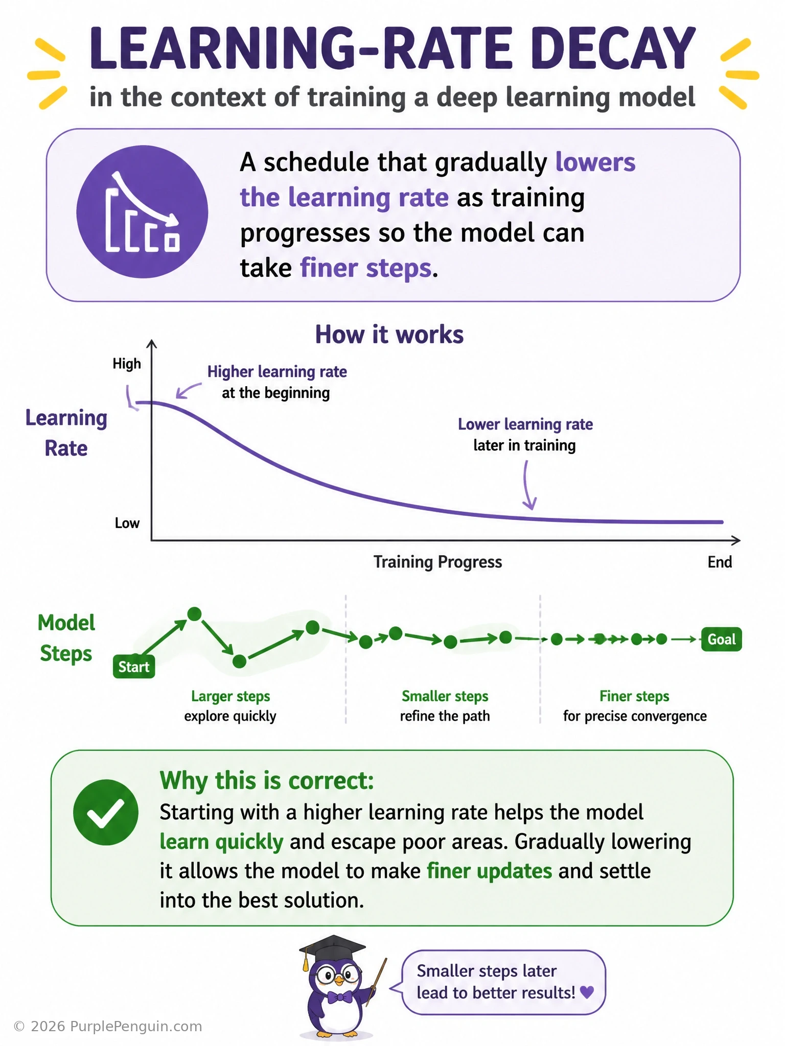 An infographic showing a downward-sloping learning-rate-over-time curve (starting high, decaying gradually) above a corresponding loss landscape where step sizes shrink from large jumps early to small precise steps near the minimum later in training.
