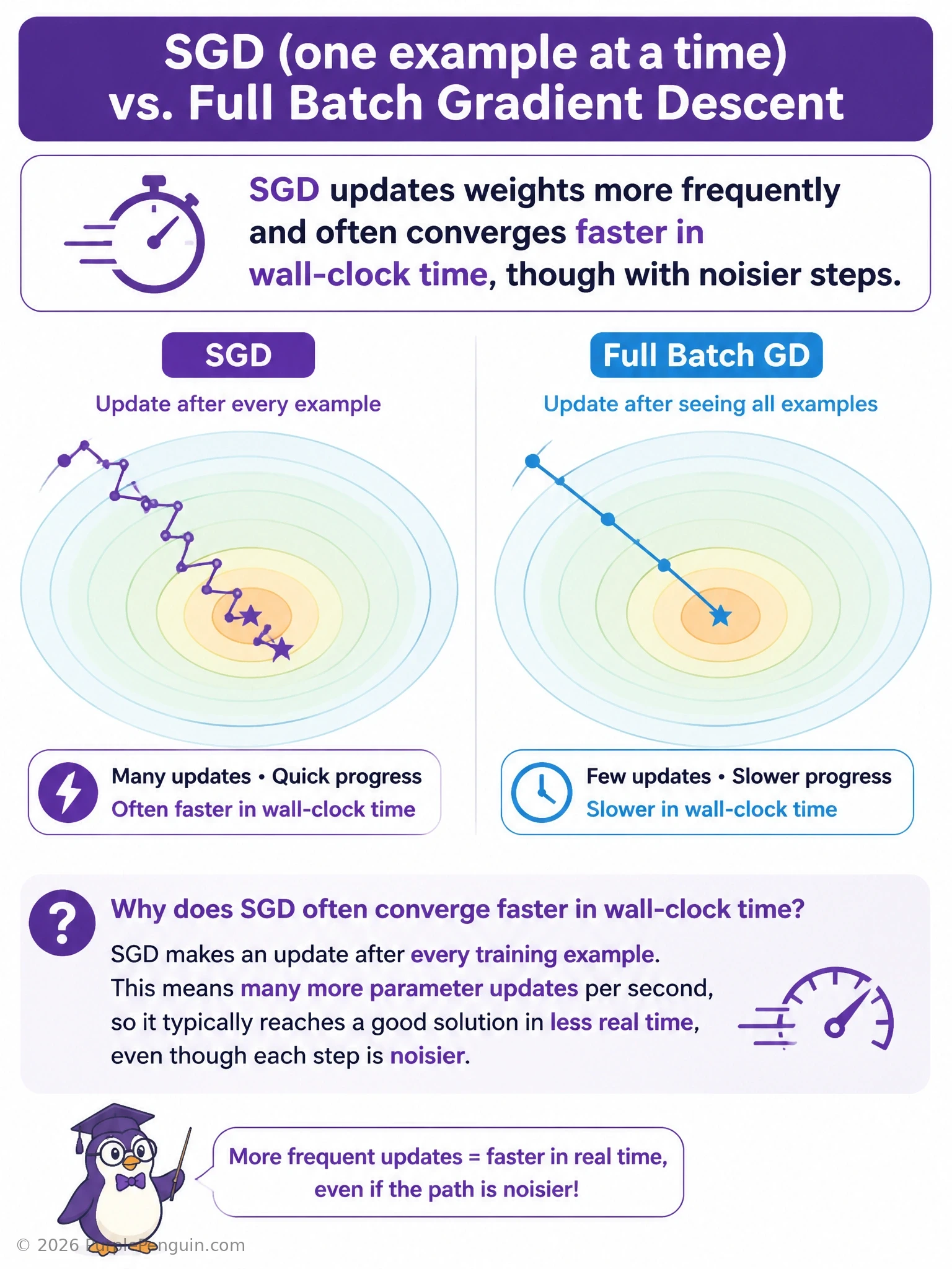 An infographic comparing two loss curves side by side: a jagged, noisy but fast-descending curve labeled 'SGD, frequent noisy updates' versus a smooth, slower-descending curve labeled 'batch gradient descent, stable but slow updates'.