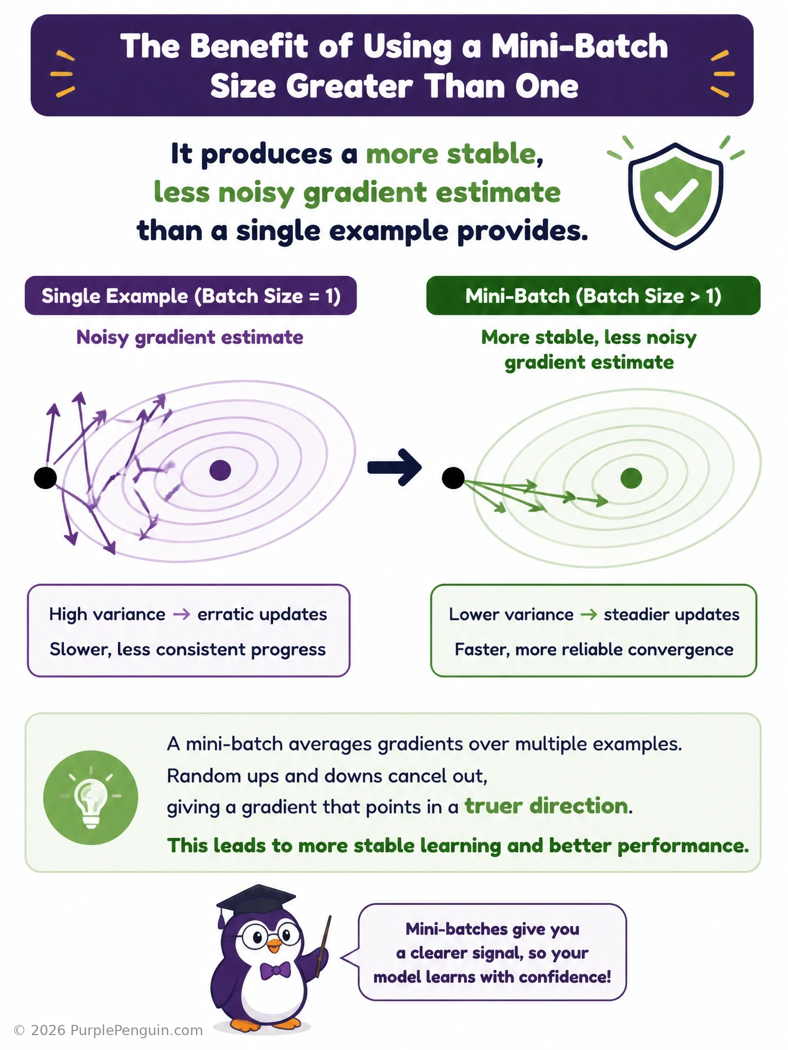 An infographic comparing a single noisy, zigzagging gradient arrow from one example against a smoother, averaged gradient arrow computed from a mini-batch of several examples, showing how averaging multiple examples cancels out individual noise and produces a steadier update direction.