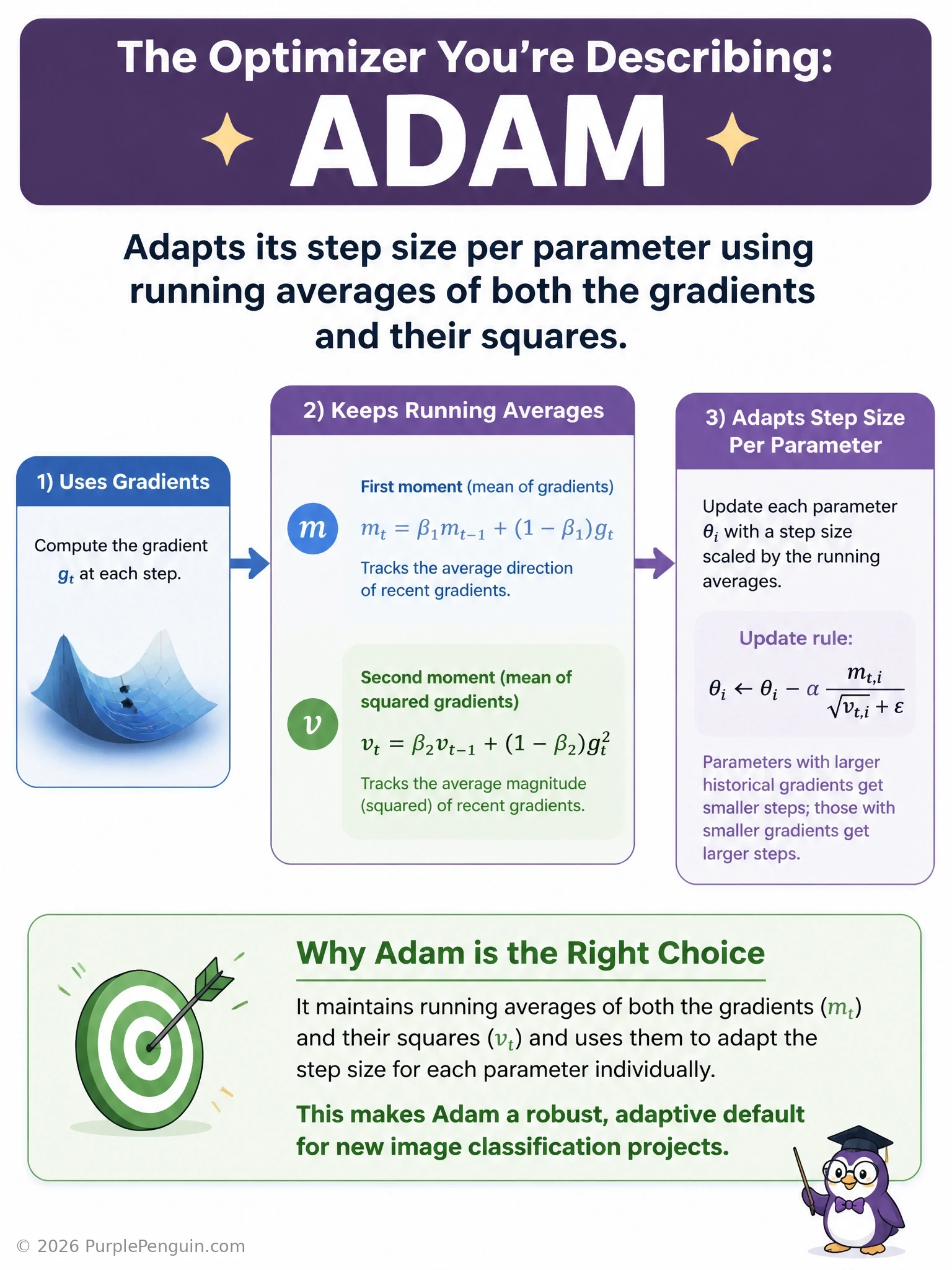 An infographic showing two parallel tracks feeding into an optimizer labeled Adam: one track showing a running average of gradients (momentum) and another showing a running average of squared gradients (adaptive scaling), merging into a single per-parameter update arrow.