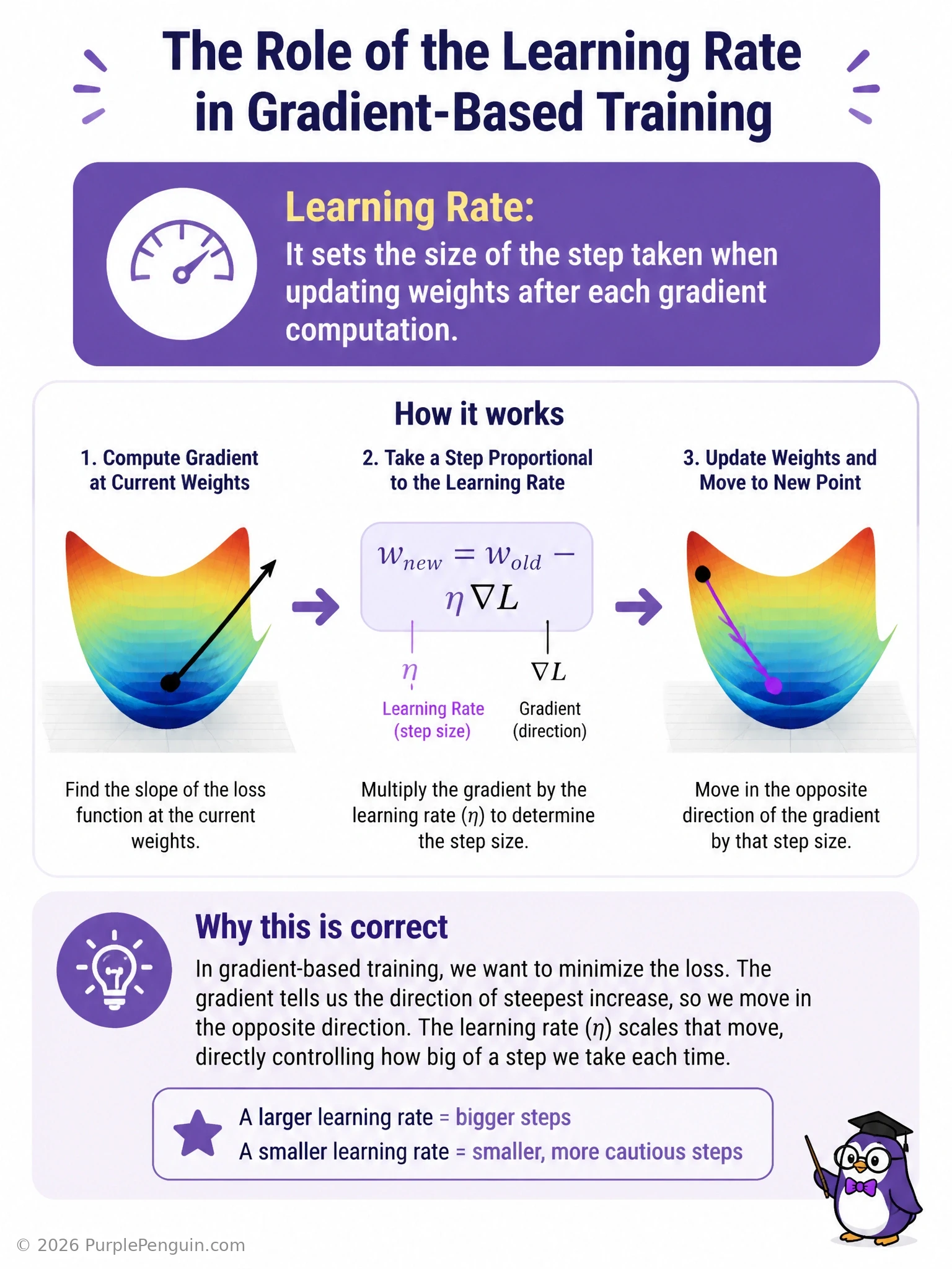 An infographic showing a loss curve with a ball rolling downhill, with small-step arrows labeled 'low learning rate: slow convergence' and large overshooting arrows labeled 'high learning rate: overshoot/diverge', and a balanced medium-step arrow labeled 'well-tuned learning rate'.