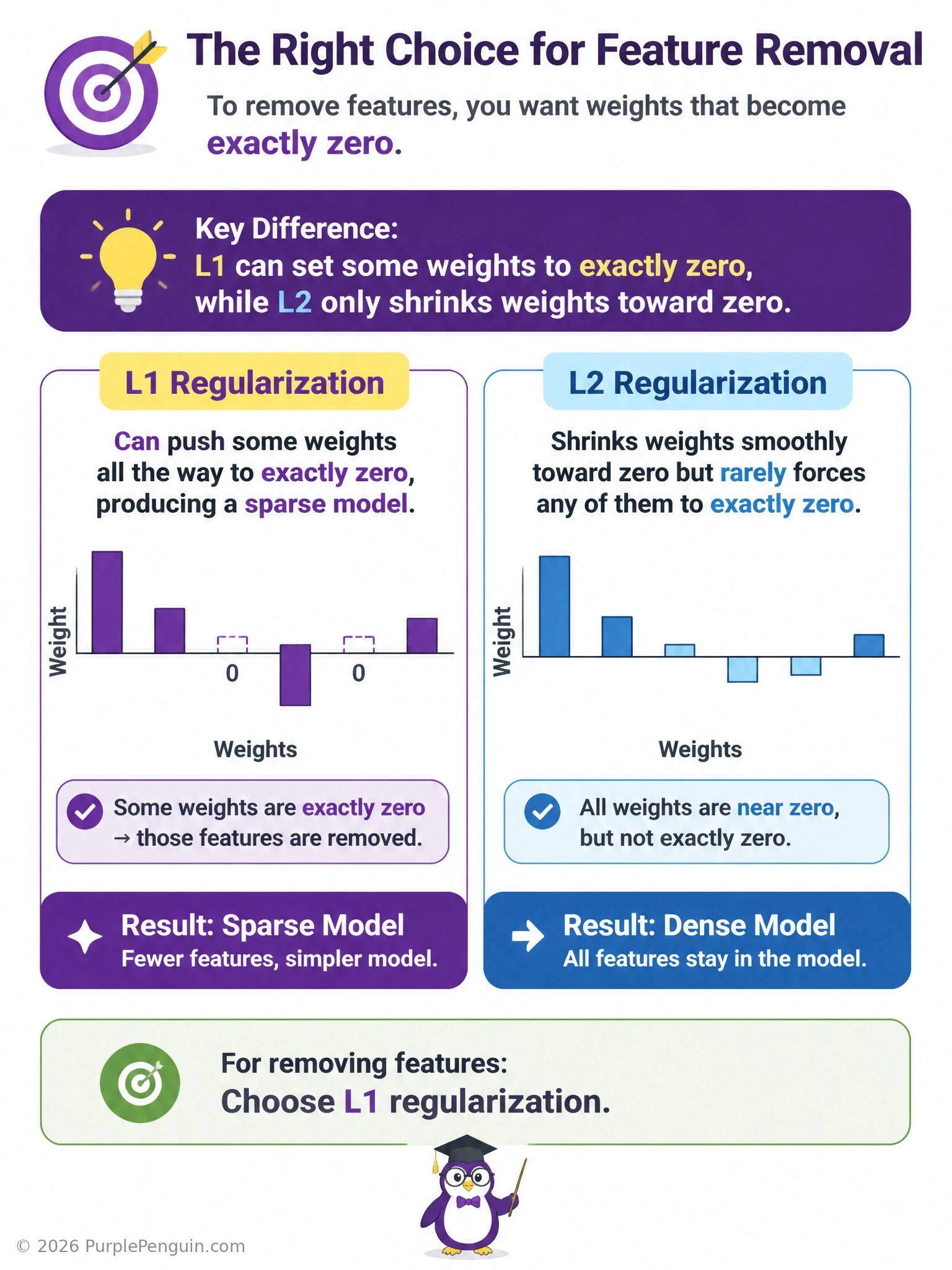 An infographic comparing L1 and L2 regularization: on one side a bar chart of weights where several bars are pushed to exactly zero (L1, sparse), on the other side a bar chart where all weights are shrunk smaller but none reach zero (L2, dense but small).