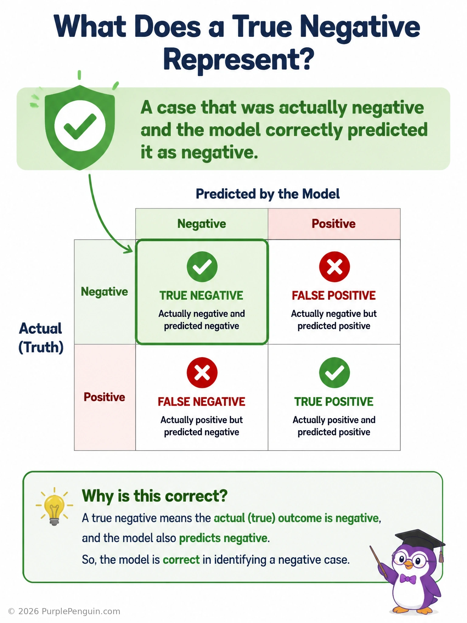 An infographic of a 2x2 confusion matrix grid labeled with true positive, false positive, false negative, and true negative in their respective cells, with true negative highlighted and an example icon showing a correctly-identified negative case (checkmark).