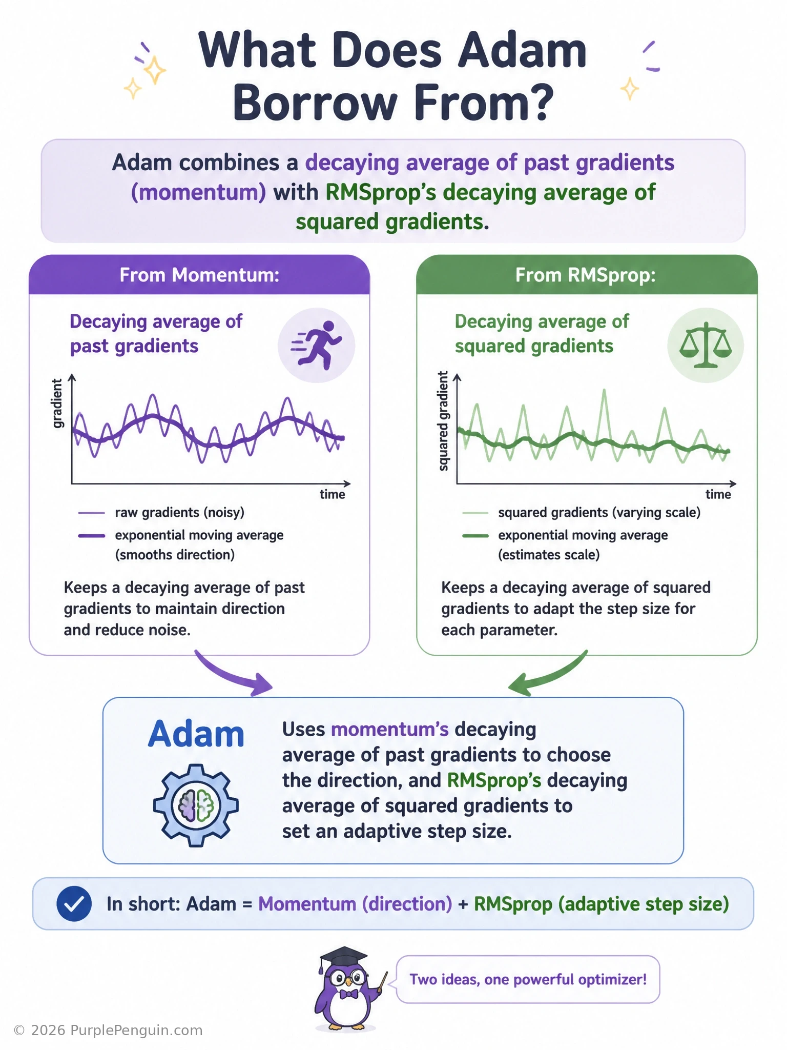 An infographic with two converging arrows: one labeled 'momentum: decaying average of gradients (direction)' and one labeled 'RMSprop: decaying average of squared gradients (step size)', merging into a box labeled 'Adam optimizer'.