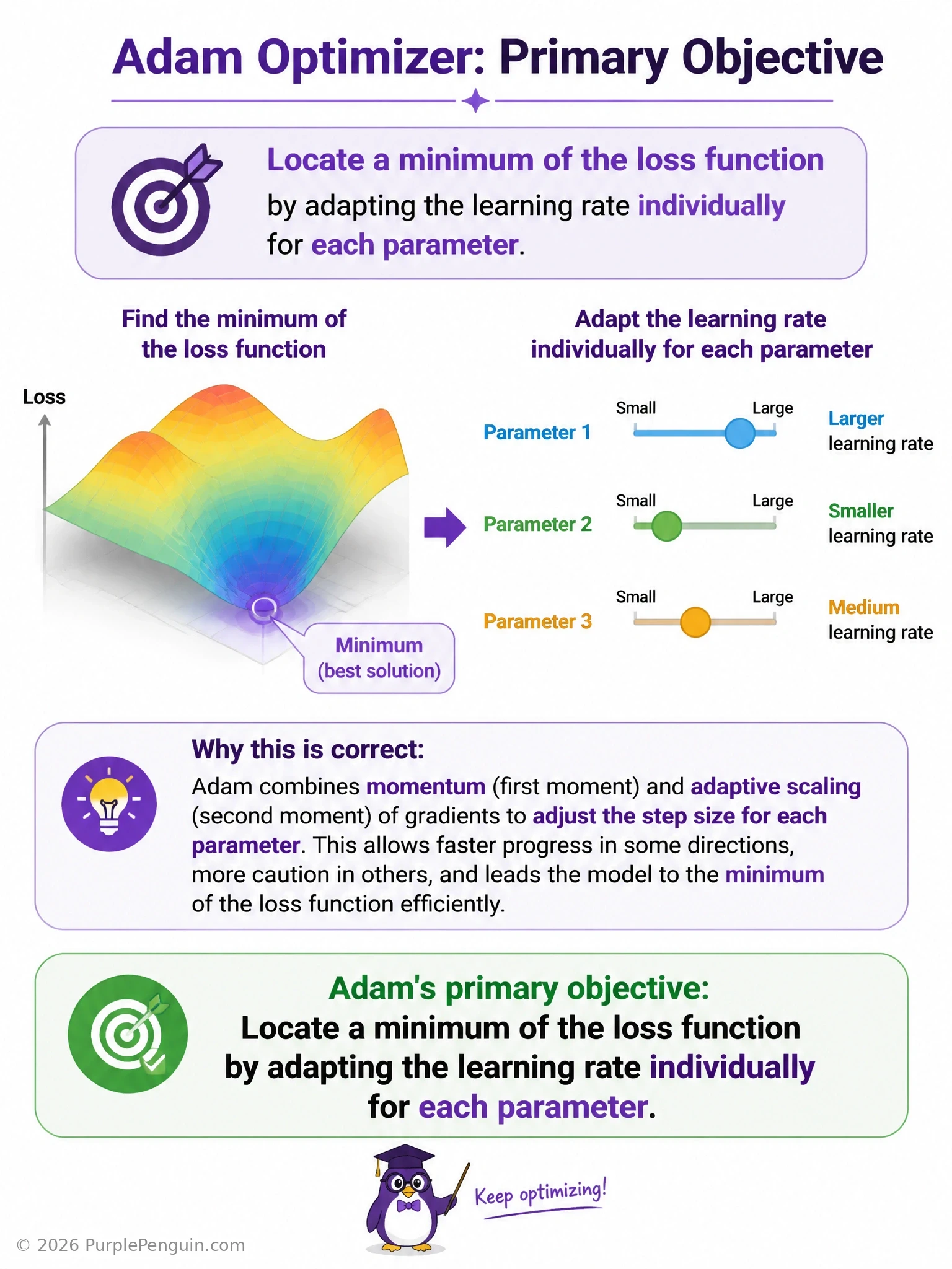 An infographic showing a loss landscape with a descending ball, alongside a panel of individual parameter dials each being adjusted to a different learning-rate size, labeled 'Adam: per-parameter adaptive learning rate seeking a minimum'.