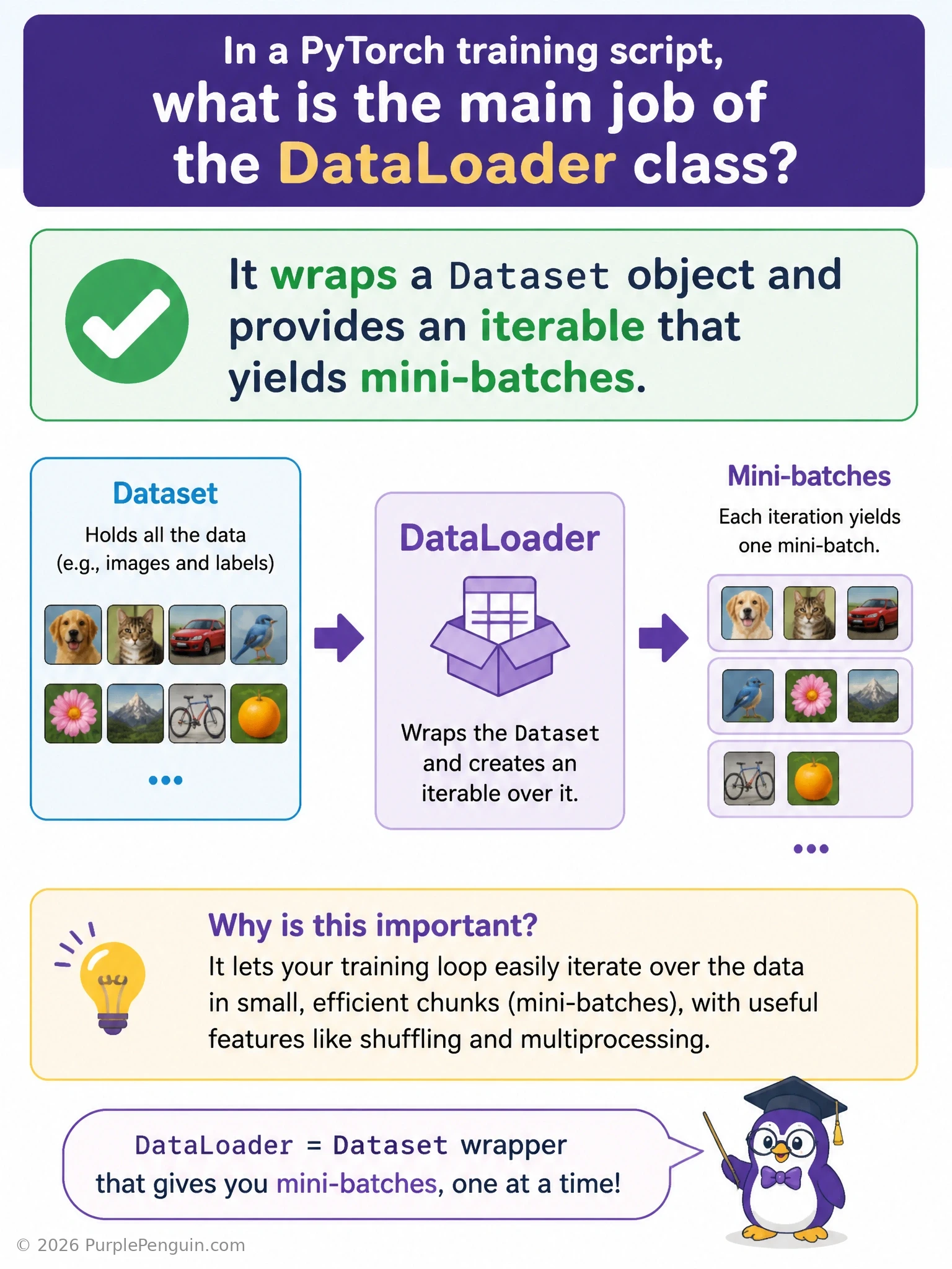 A pipeline diagram showing a Dataset icon (individual data samples) feeding into a DataLoader icon labeled with shuffling and batching arrows, which outputs neatly grouped mini-batch tensors flowing toward a model icon.