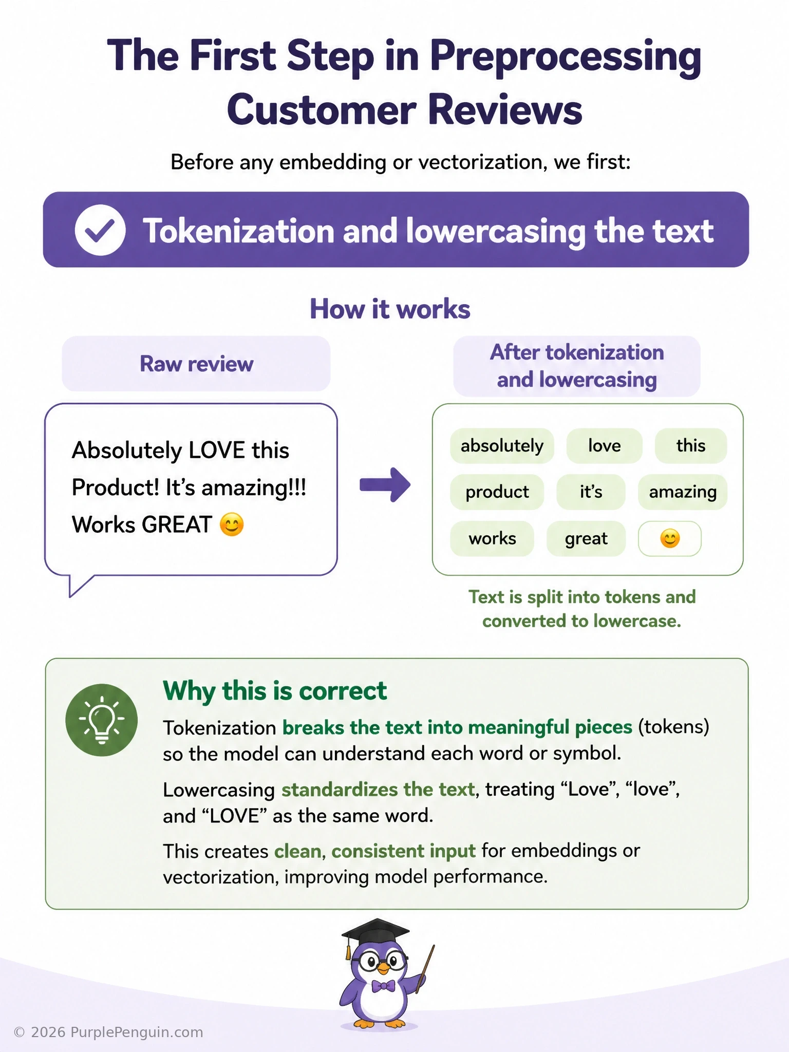 A text-processing pipeline diagram showing a raw customer review sentence at the start, an arrow through a 'tokenize + lowercase' step splitting it into individual normalized word tokens, then an arrow toward a vectorization/embedding stage.