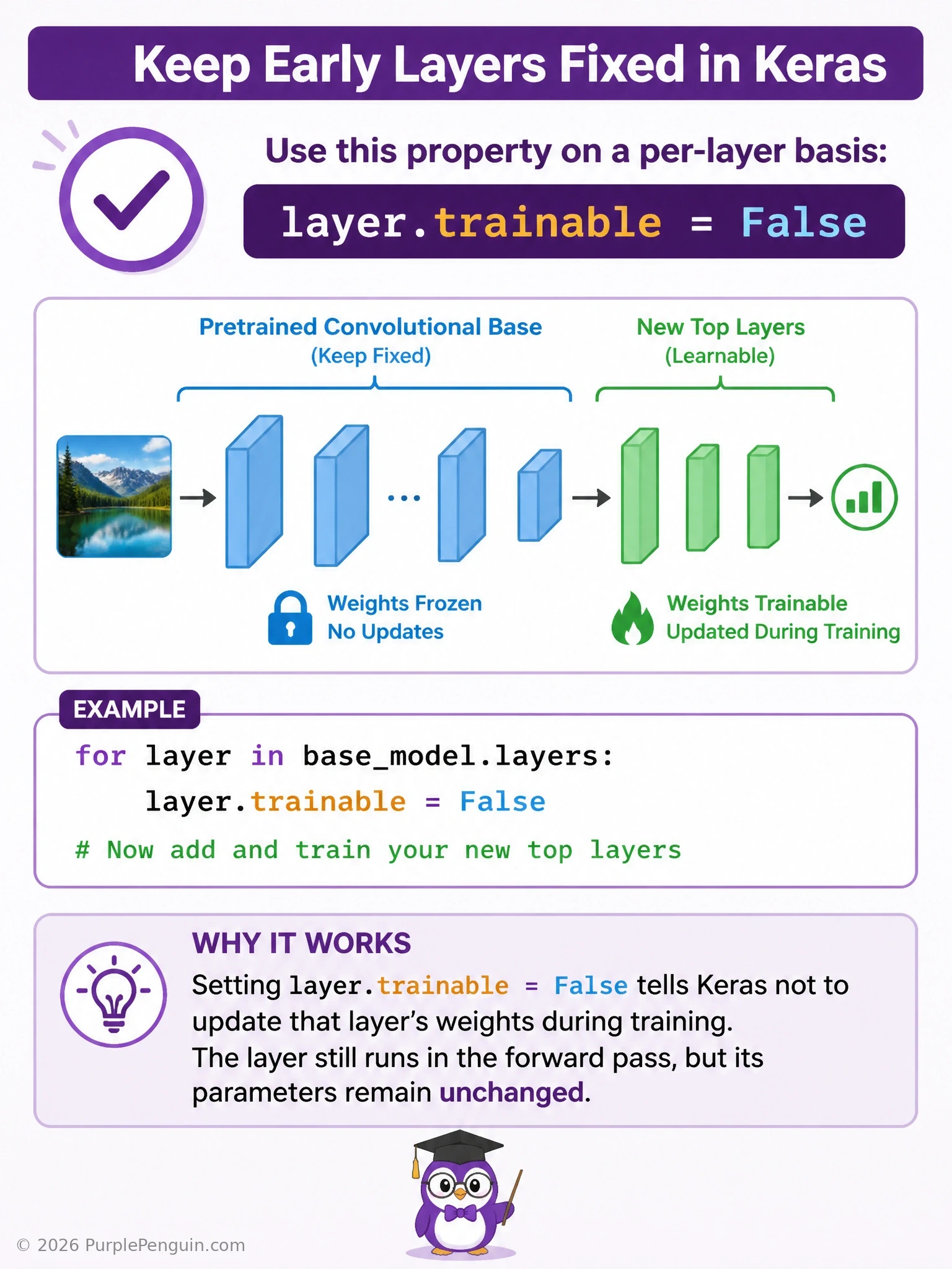 A neural network diagram showing frozen early convolutional layers (marked with a lock icon and layer.trainable = False label) feeding into unfrozen, actively-training top layers, illustrating a transfer-learning fine-tuning setup.