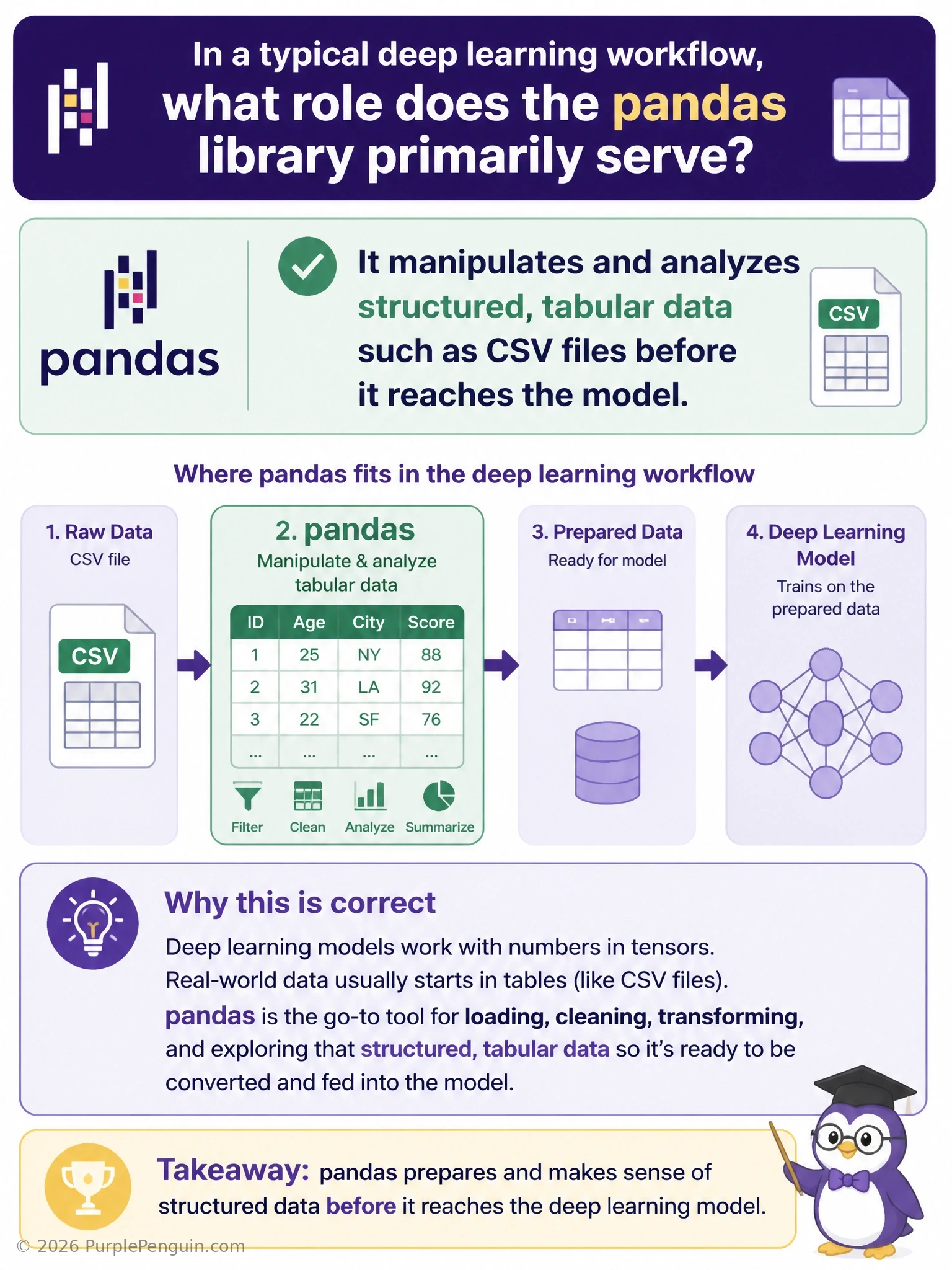 A workflow diagram showing a raw CSV file feeding into a pandas DataFrame icon labeled with filtering, cleaning, and grouping operations, then an arrow moving that cleaned tabular data toward a separate neural network training stage.