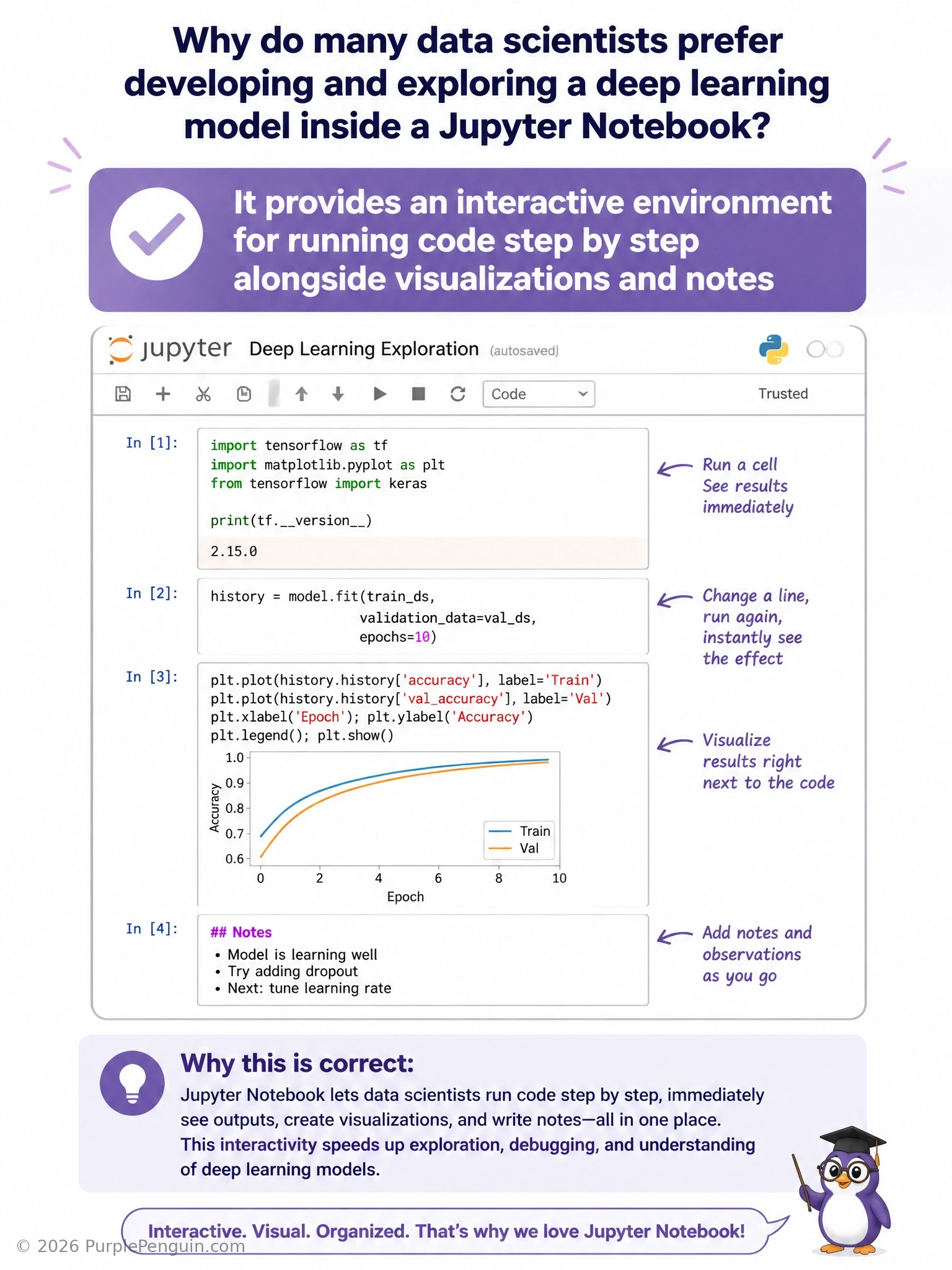 A notebook interface showing individual executable cells with code, an inline chart output, and a markdown text cell interleaved between them, illustrating the step-by-step interactive workflow of exploring data and building a model.