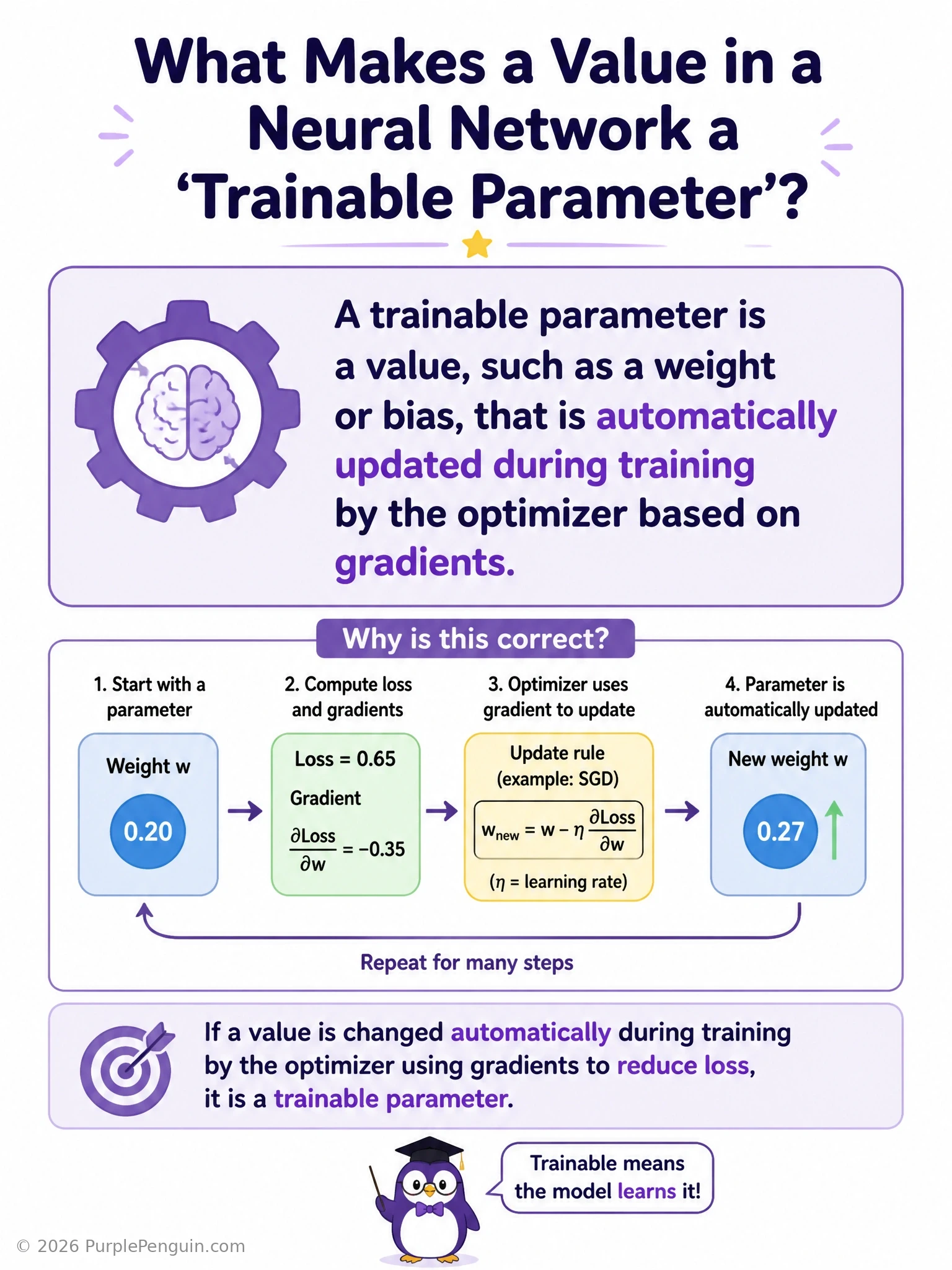 A neural network diagram highlighting individual weight and bias values on the connections between neurons, with an arrow showing the optimizer updating those specific values each training step based on computed gradients, contrasted with a separate box labeled hyperparameters (batch size, learning rate) that stays fixed.