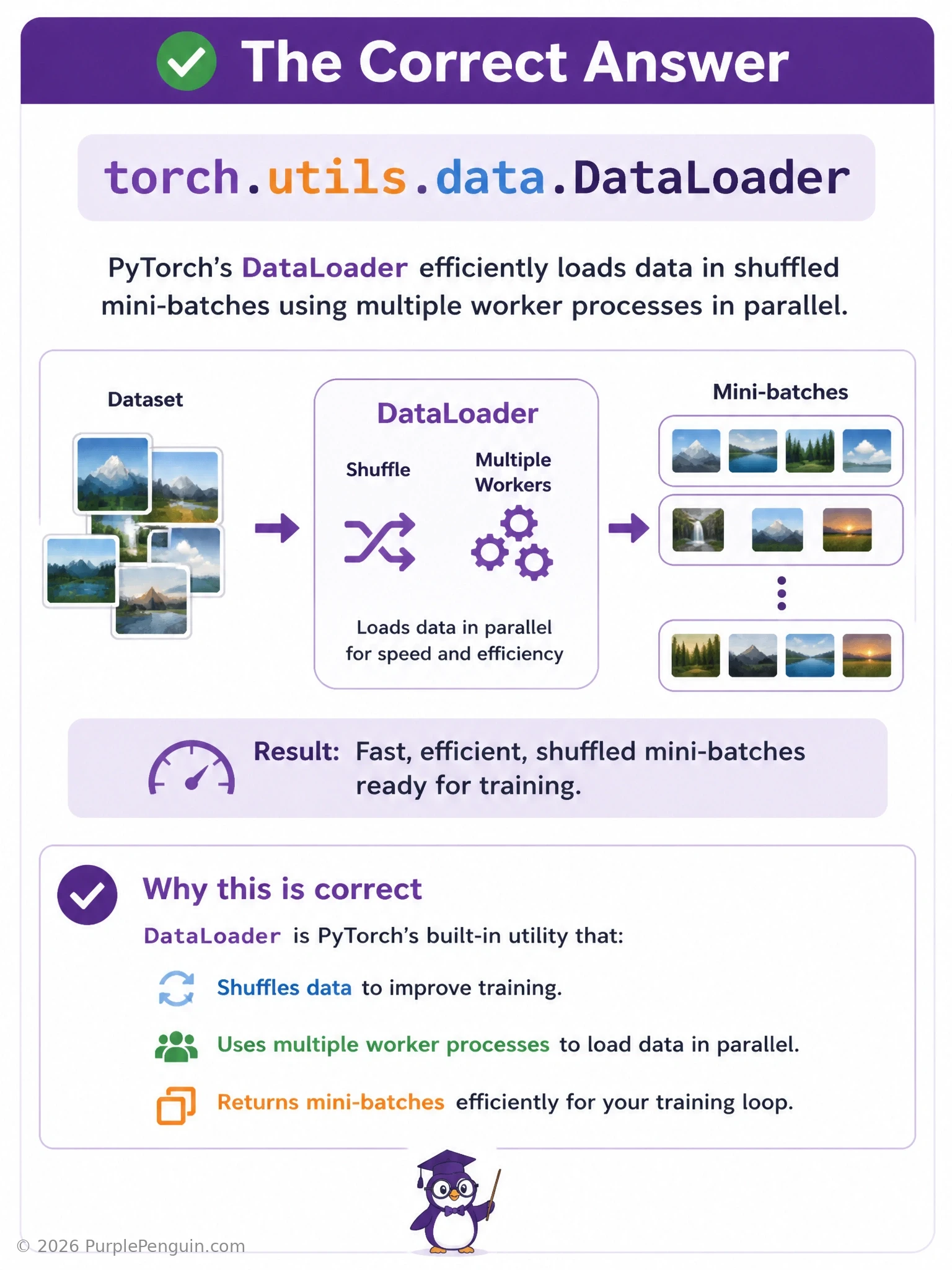 A diagram showing thousands of image files on disk feeding into a Dataset object, which is wrapped by a DataLoader shown spawning multiple parallel worker processes and outputting shuffled, neatly batched tensors ready for a model.