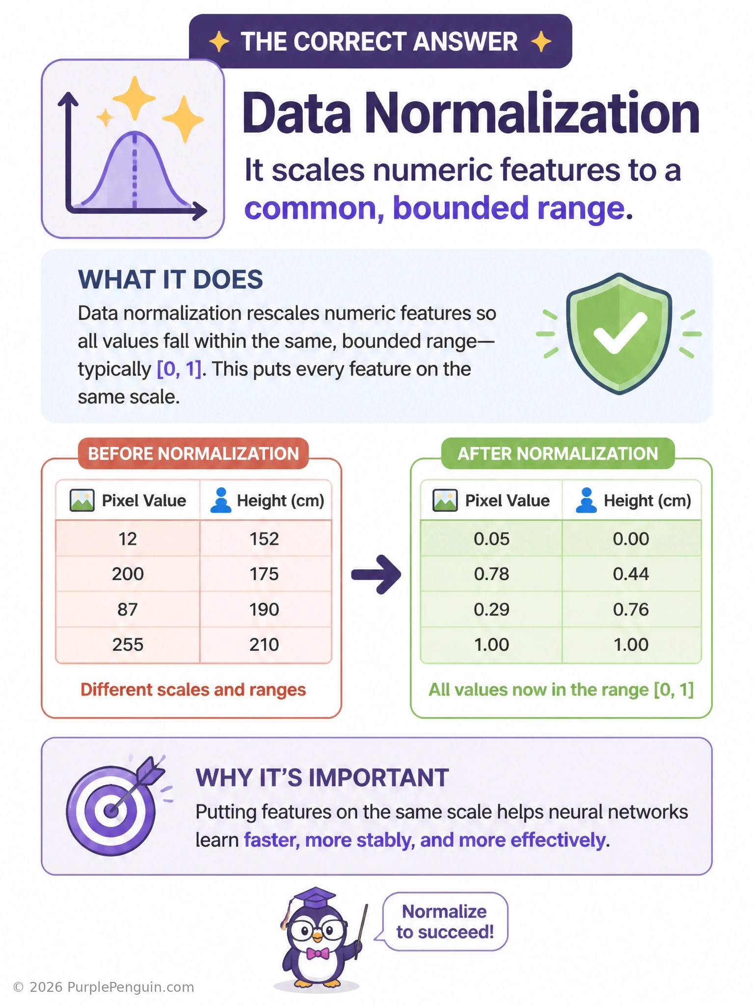 A before-and-after comparison showing raw numeric features on wildly different scales (0 to 255, 0 to 10000) on one side, and after normalization all features compressed into a shared 0 to 1 range on the other side, feeding cleanly into a neural network input layer.