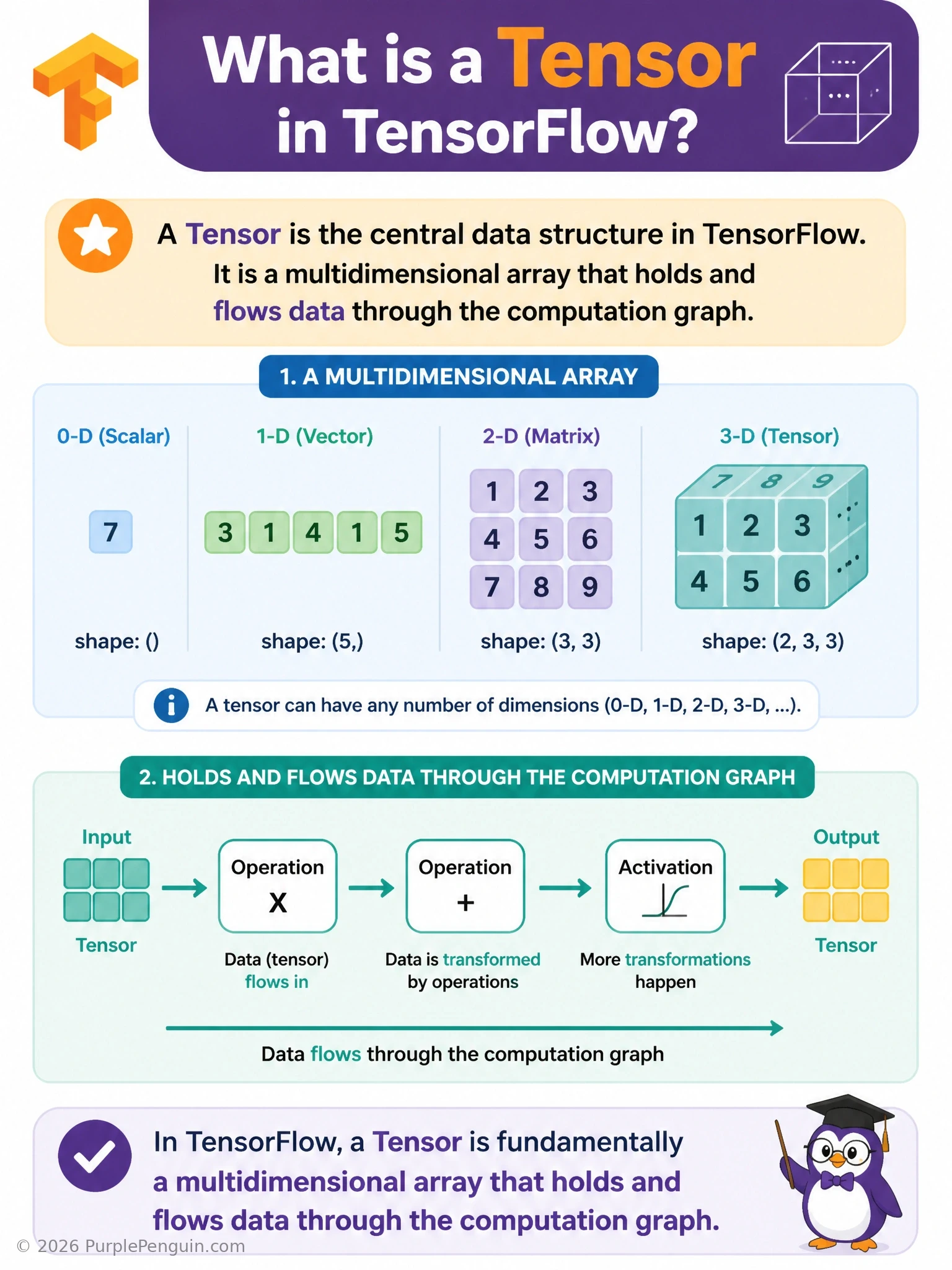 A progression of shapes labeled scalar, vector, matrix, and tensor, each shown as increasingly multidimensional arrays, all flowing as arrows into and out of nodes in a computation graph diagram representing TensorFlow operations.