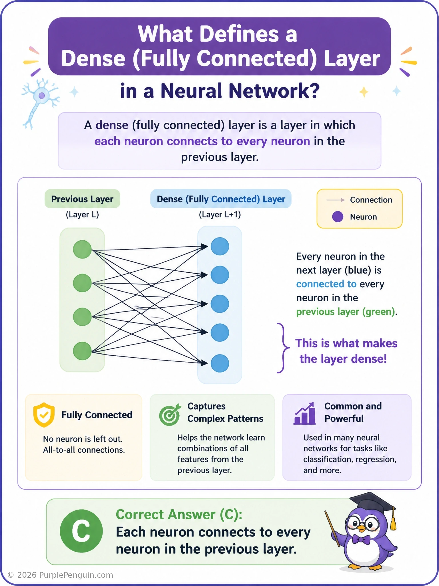 A neural network diagram showing one layer of neurons where every single node connects with a line to every single node in the next layer, contrasted faintly beside a convolutional layer where connections are restricted to small local patches.