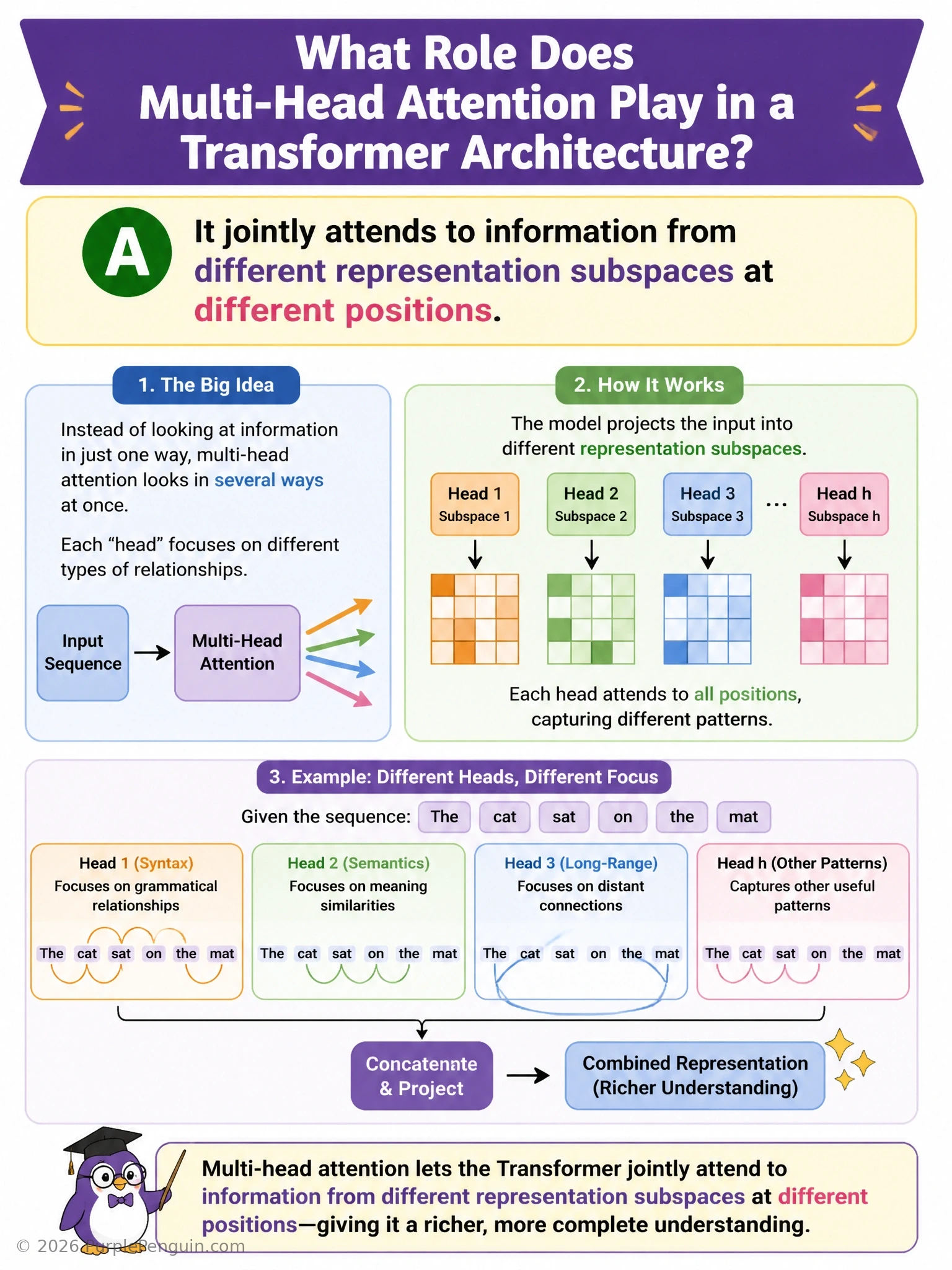 A Transformer attention diagram showing a single input sentence being processed by several parallel attention 'heads,' each highlighted with a different color connecting different word pairs (one head linking subject-verb, another linking pronoun-antecedent), with all head outputs merging into one combined output vector.