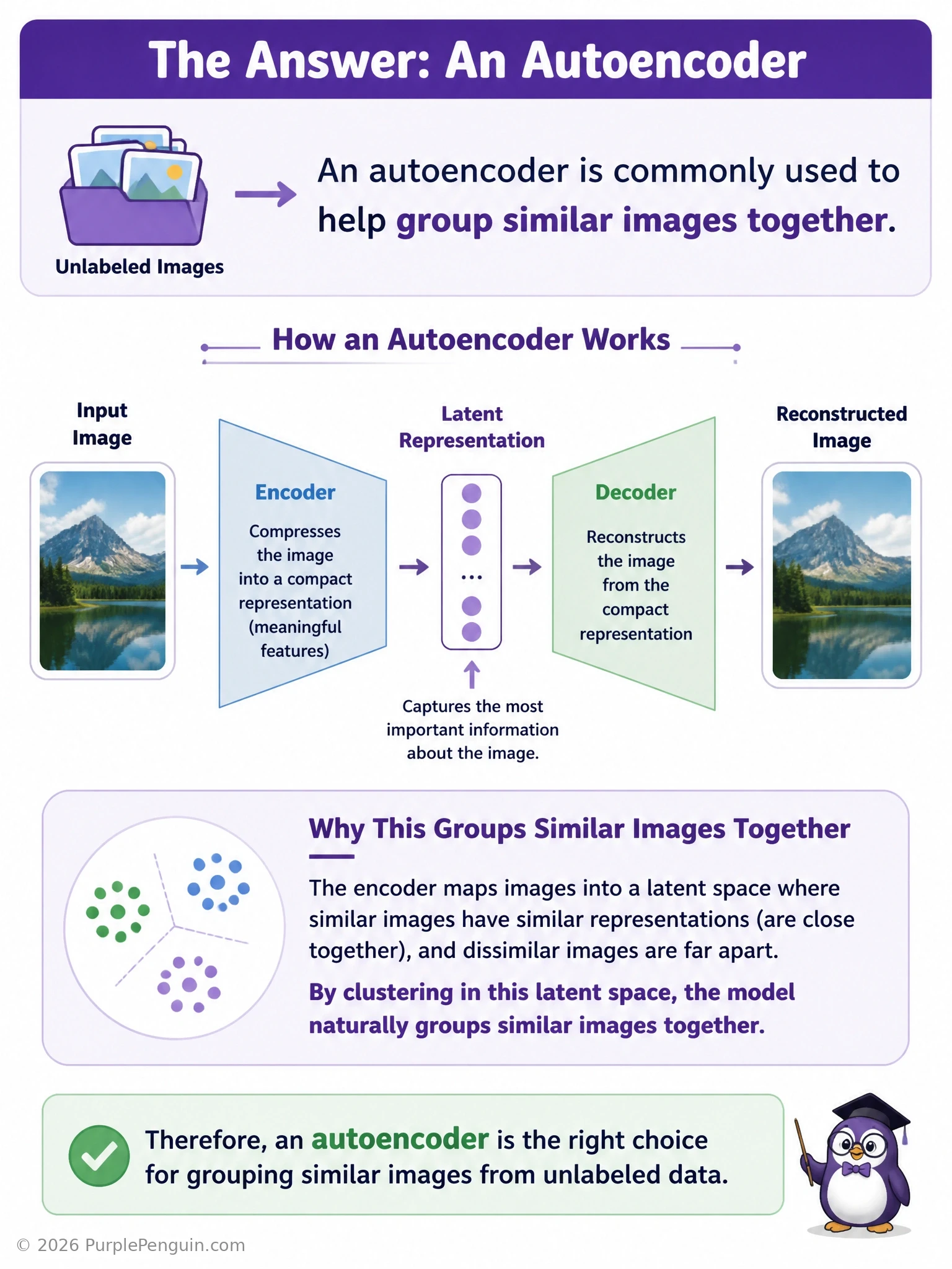 A pipeline diagram: a folder of unlabeled images feeding into an autoencoder's encoder, producing compact latent-space points plotted on a 2D scatterplot, with visibly similar images clustering into distinct colored groups after a k-means step is applied to those embeddings.