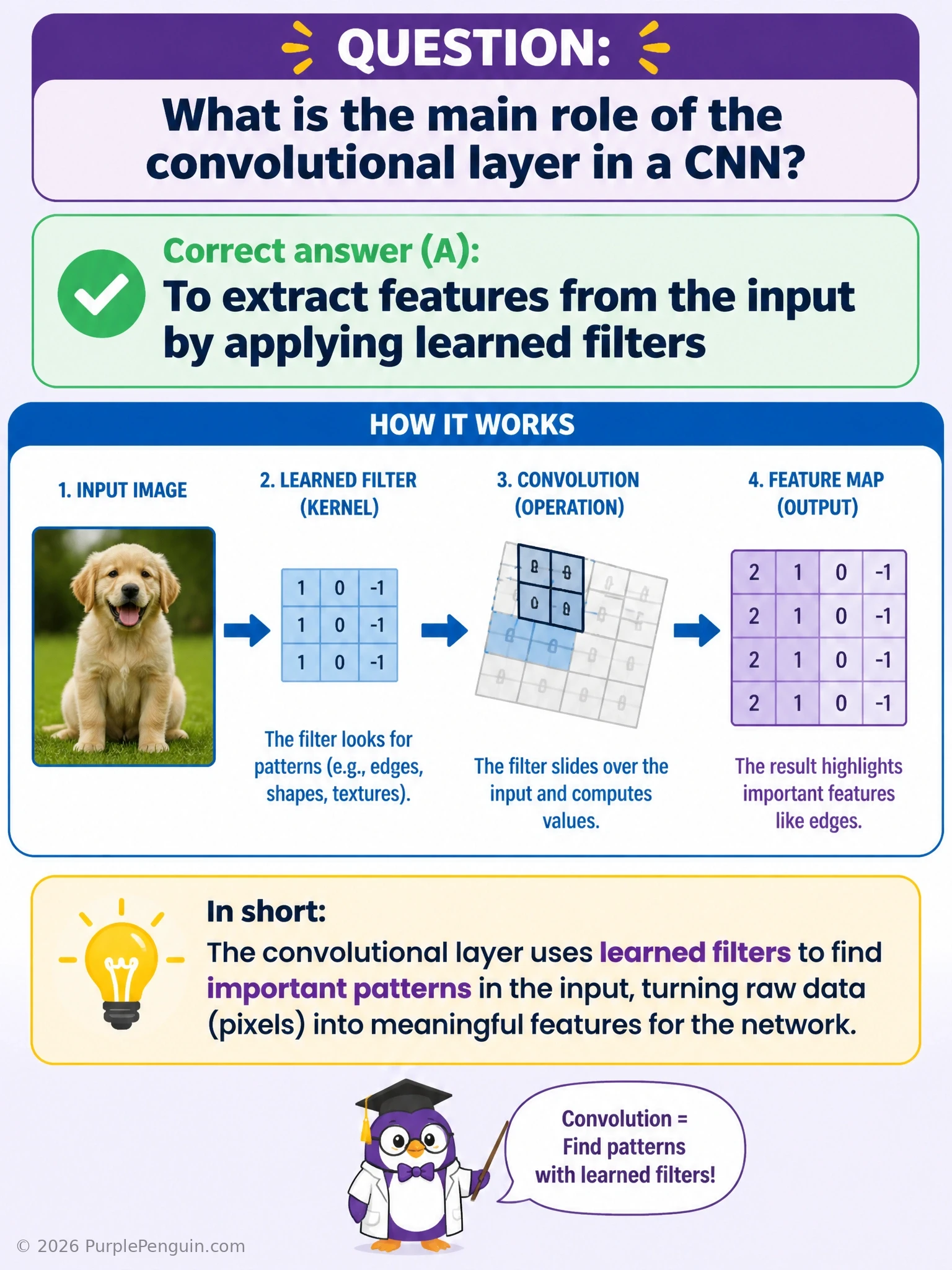 An input image passing through a convolutional layer where several small filter squares slide across it, each producing a separate feature map highlighting a different detected pattern (edges, curves, textures), visually emphasizing 'filters extract features' as the layer's core job.
