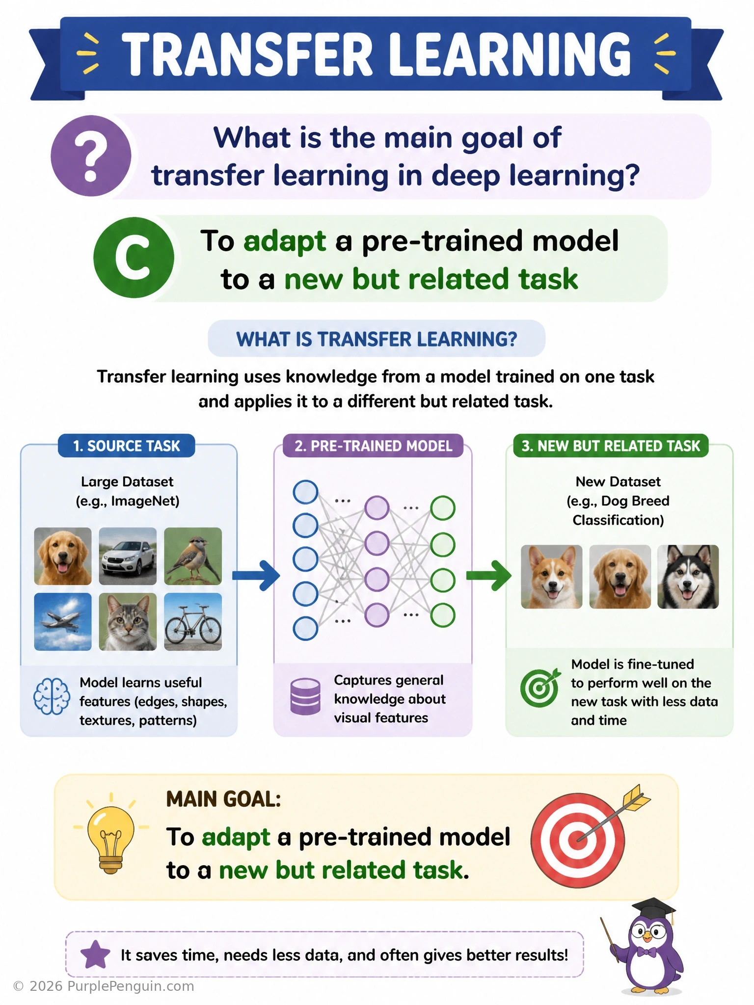 A pre-trained CNN icon labeled 'trained on ImageNet' with its early layers (edge/texture detectors) highlighted as reusable, an arrow showing those frozen layers being connected to a new small task-specific head labeled 'new task: medical X-ray classifier', illustrating knowledge transfer rather than training from zero.