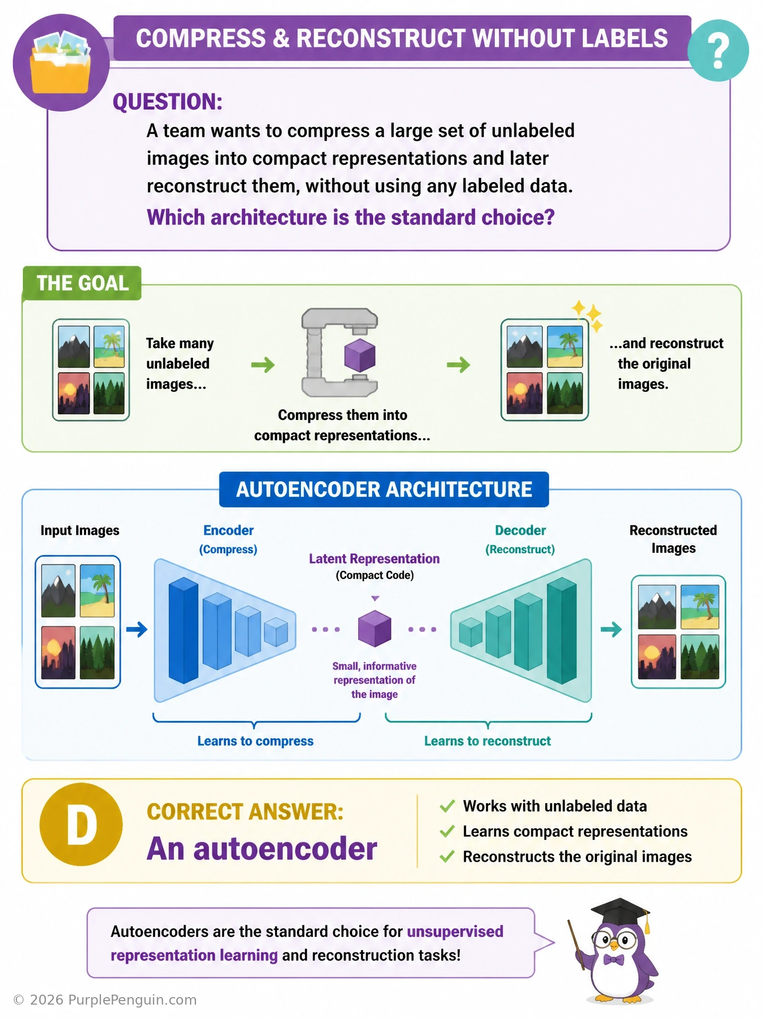 A classic autoencoder hourglass diagram: a full-resolution input image funneling down through an encoder into a narrow bottleneck (compressed latent code), then expanding back out through a decoder into a reconstructed output image, with a reconstruction-error comparison shown between input and output.