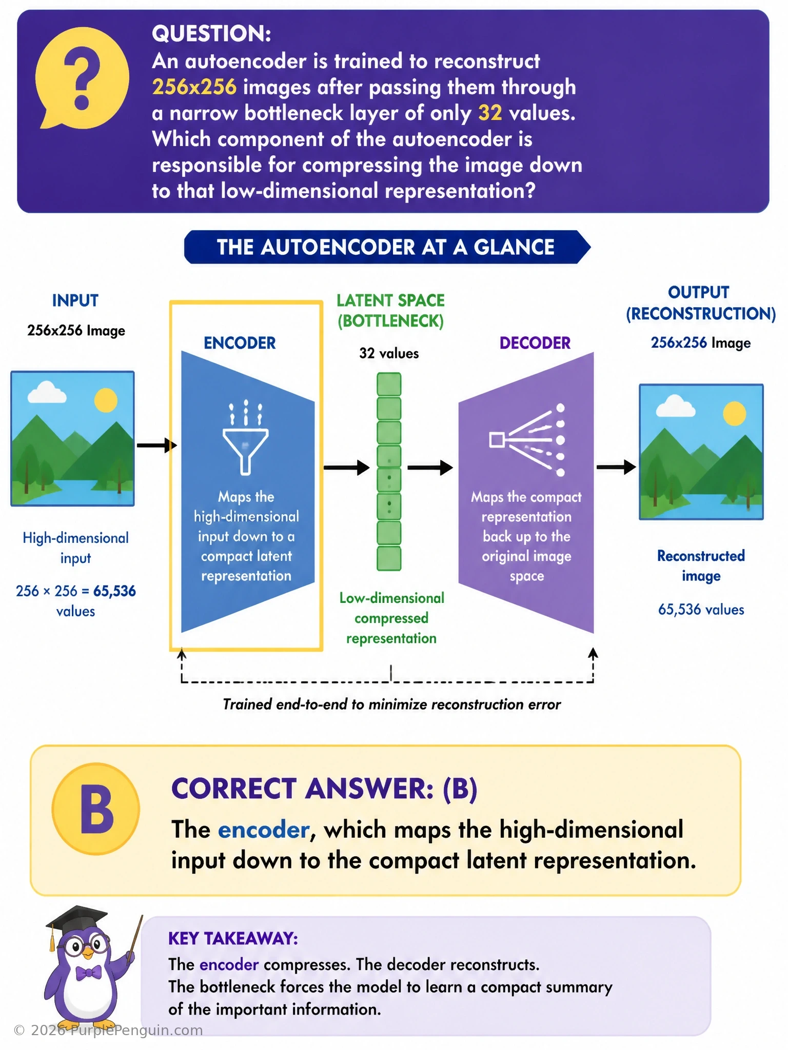 Autoencoder architecture diagram: a 256x256 image narrowing through encoder layers to a 32-value bottleneck, then widening back through decoder layers to a reconstructed 256x256 image, with reconstruction loss comparing input and output
