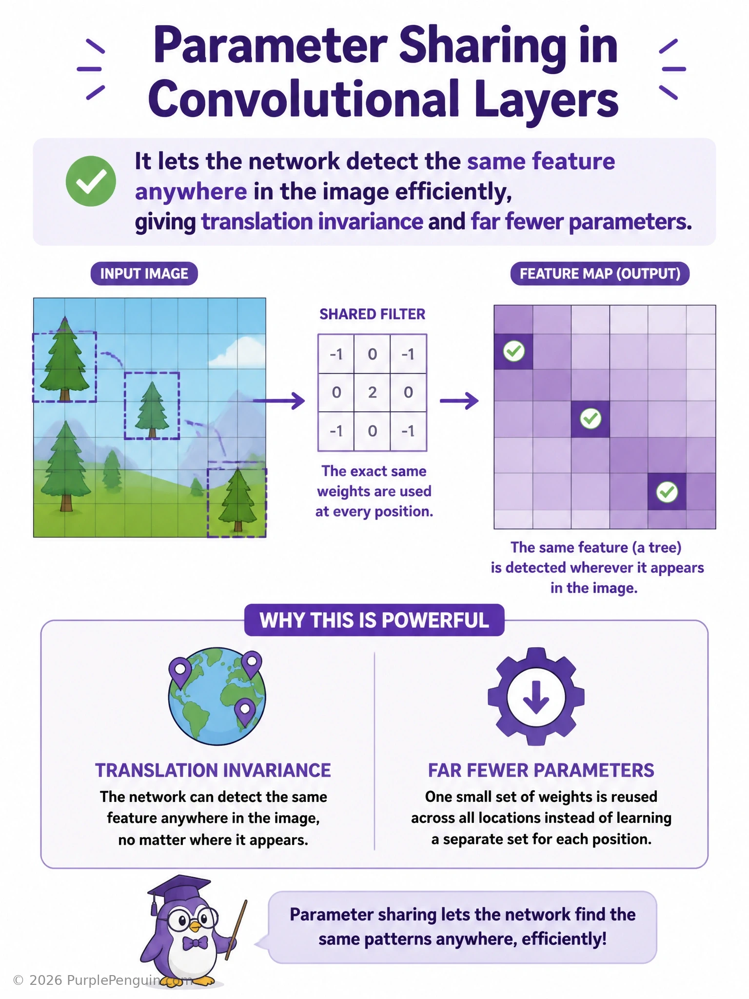 Diagram showing a single 3x3 filter with shared weights sliding across every position of an image, detecting the same edge feature in multiple locations, with a parameter count comparison against a fully connected layer processing the same image