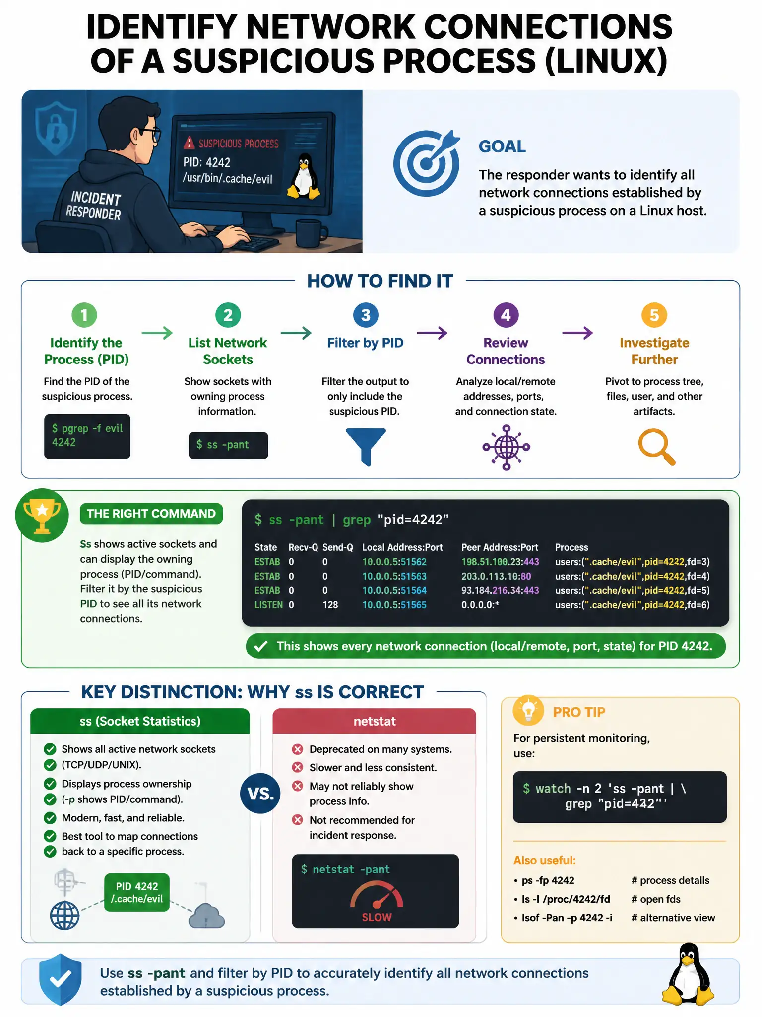 Portrait educational infographic teaching: An incident responder is analyzing a compromised Linux host and wants to identify all network connections established by a suspicious process. Which command provides this informati. Show labeled components, decision flow, and the key distinction that makes the correct answer correct. Clean modern diagram style.