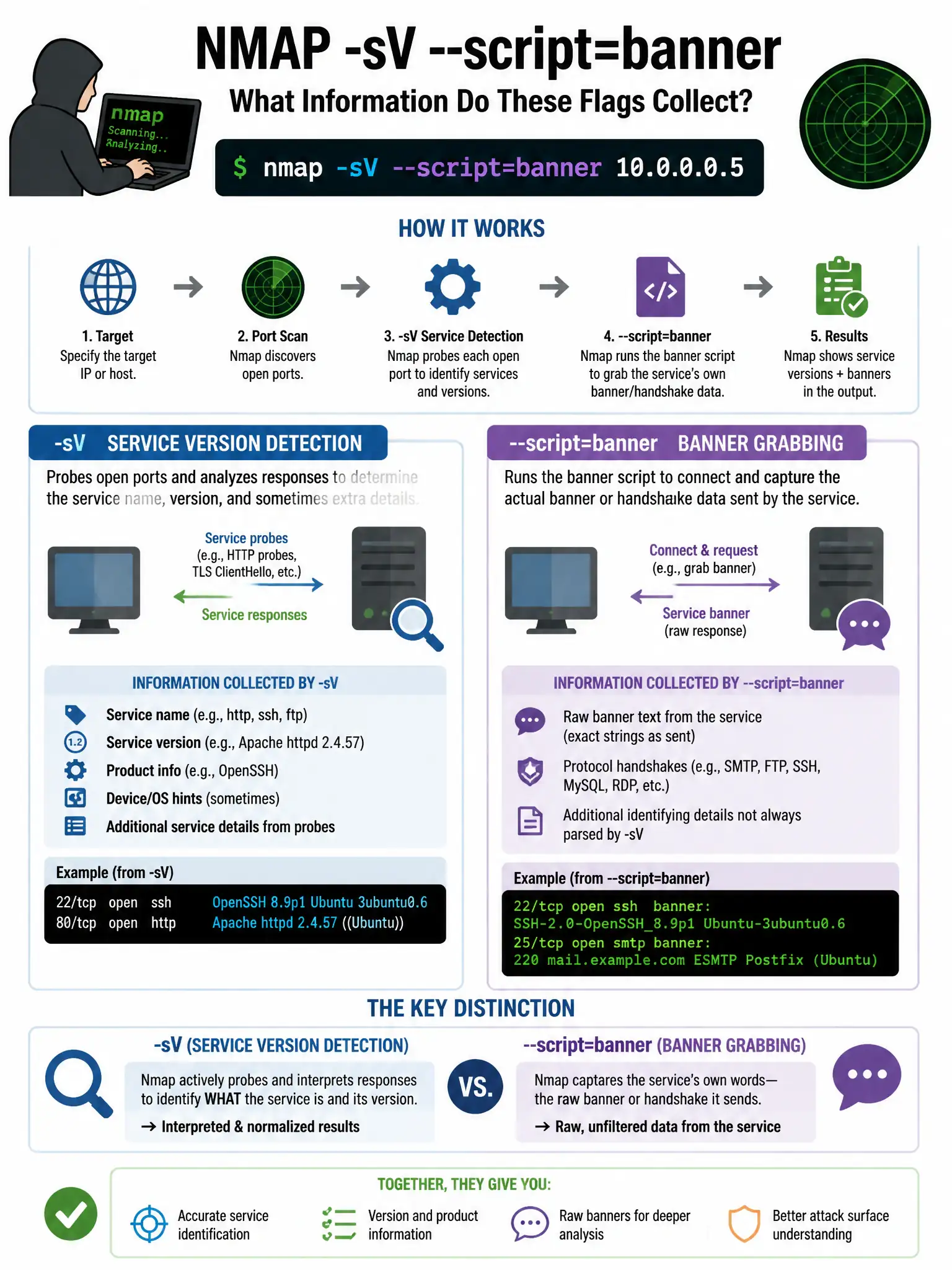 Portrait educational infographic teaching: A penetration tester performs an nmap scan and uses -sV --script=banner flags. What information do these flags collect?. Show labeled components, decision flow, and the key distinction that makes the correct answer correct. Clean modern diagram style.