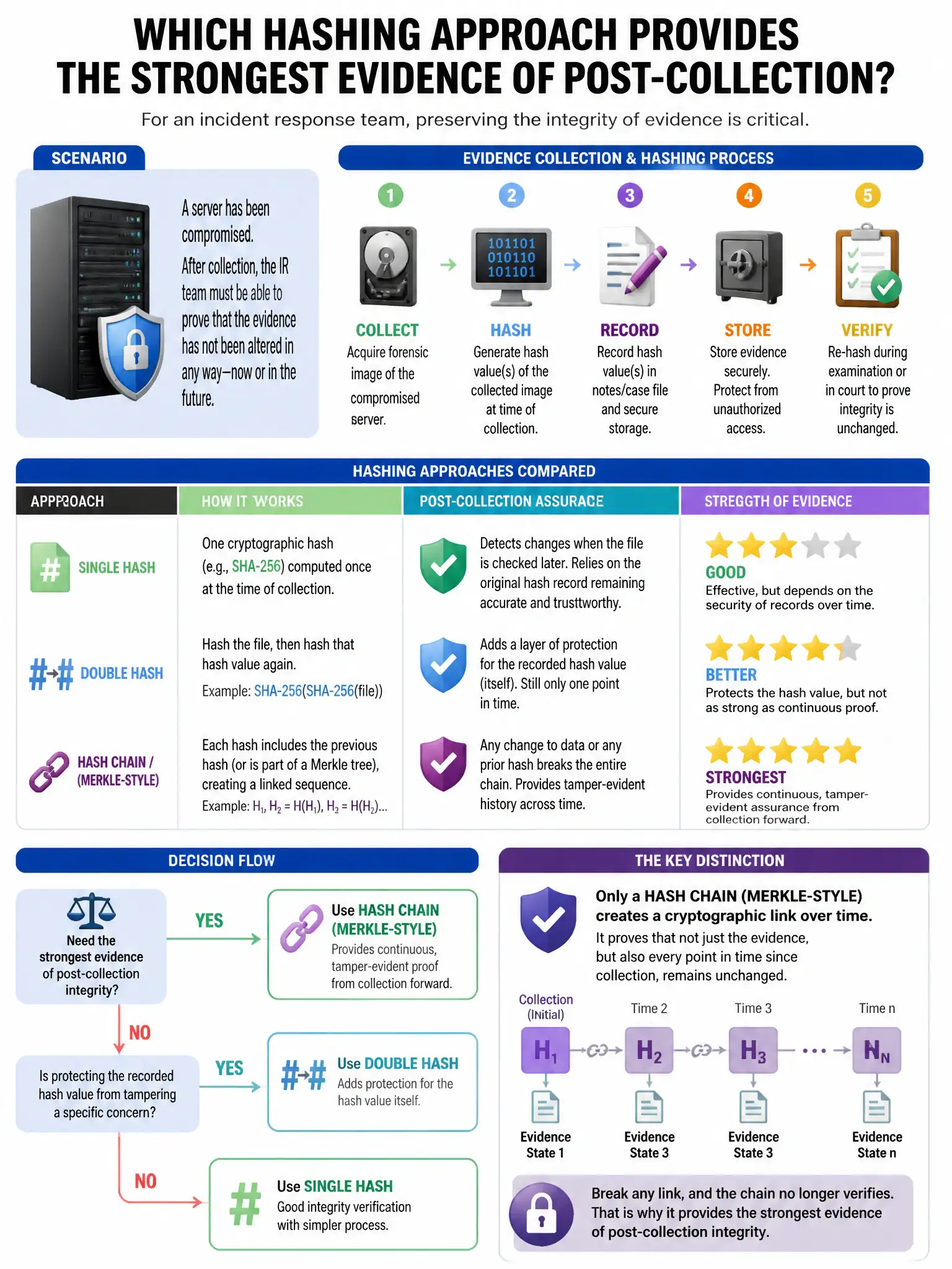 Portrait educational infographic teaching: An incident response team needs to preserve the integrity of evidence collected from a compromised server. Which hashing approach provides the strongest evidence of post-collection. Show labeled components, decision flow, and the key distinction that makes the correct answer correct. Clean modern diagram style.