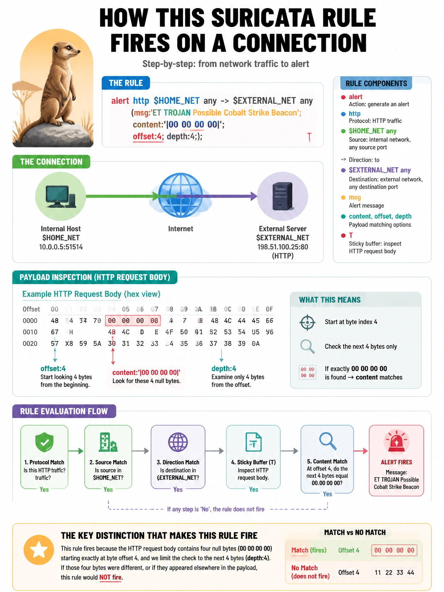 Portrait educational infographic teaching: A Suricata rule fires on a connection: alert http $HOMENET any -> $EXTERNALNET any (msg:'ET TROJAN Possible Cobalt Strike Beacon'; content:'|00 00 00 00|'; offset:4; depth:4;). T. Show labeled components, decision flow, and the key distinction that makes the correct answer correct. Clean modern diagram style.