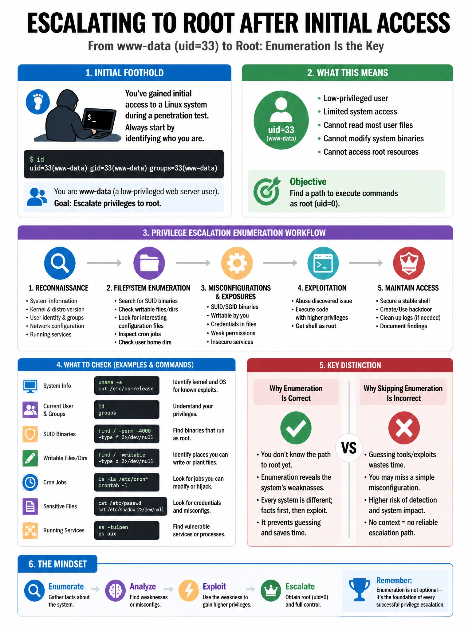 Portrait educational infographic teaching: After gaining an initial foothold on a Linux system during a penetration test, a tester runs 'id' and receives 'uid=33(www-data)'. The tester wants to escalate to root. Which enume. Show labeled components, decision flow, and the key distinction that makes the correct answer correct. Clean modern diagram style.