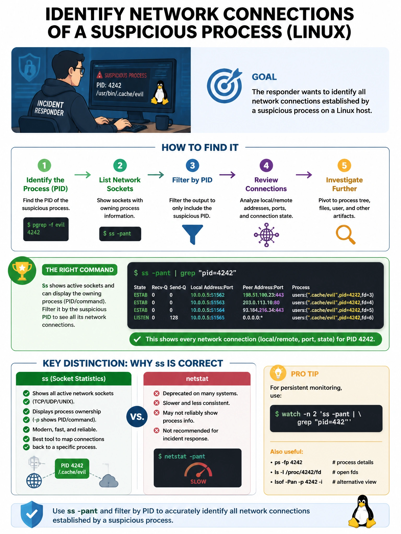 Portrait educational infographic teaching: An incident responder is analyzing a compromised Linux host and wants to identify all network connections established by a suspicious process. Which command provides this informati. Show labeled components, decision flow, and the key distinction that makes the correct answer correct. Clean modern diagram style.