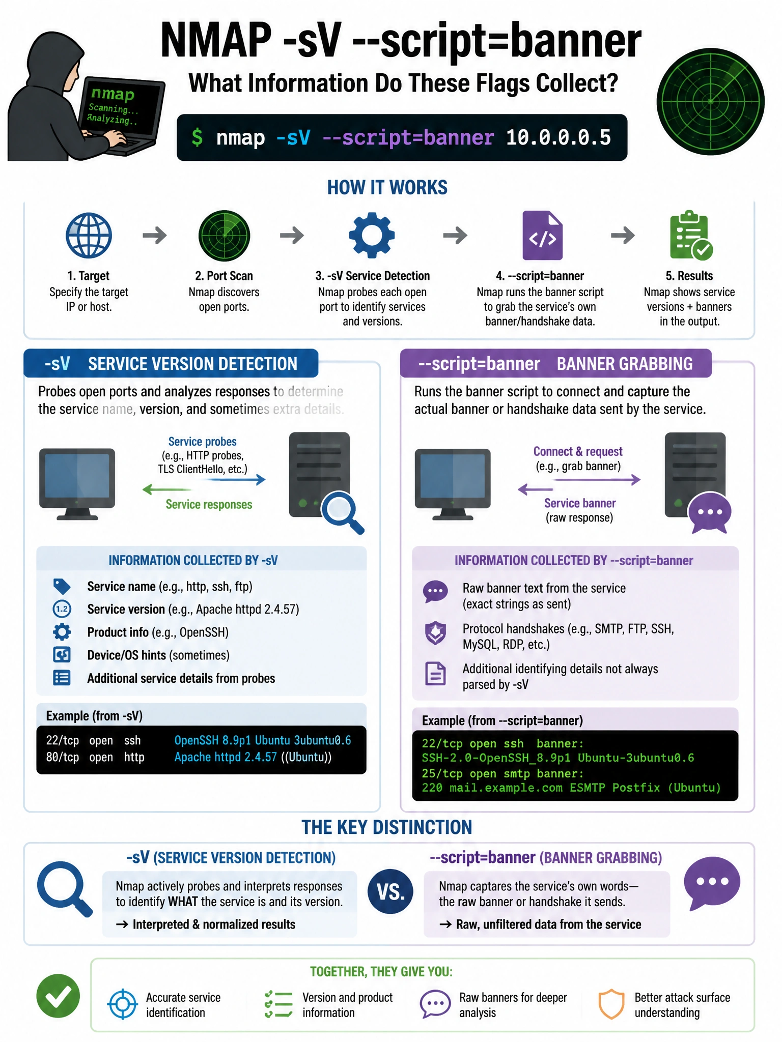 Portrait educational infographic teaching: A penetration tester performs an nmap scan and uses -sV --script=banner flags. What information do these flags collect?. Show labeled components, decision flow, and the key distinction that makes the correct answer correct. Clean modern diagram style.