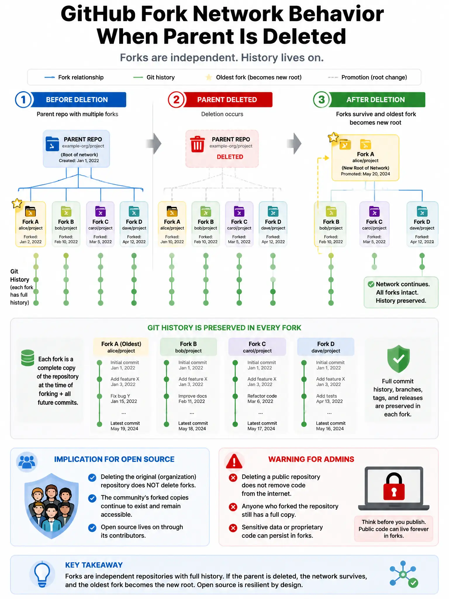 Educational infographic showing GitHub fork network behavior when parent is deleted. Display parent repo connected to multiple forks. Then show parent deletion → forks survive → oldest fork promoted to network root. Show git history preserved in forks. Include implication for open source: deleting org repo doesn't delete forked community copies. Show warning for admins: public code persists in forks. Git network tree visualization with deletion and promotion animation. 1024x768 pixels.
