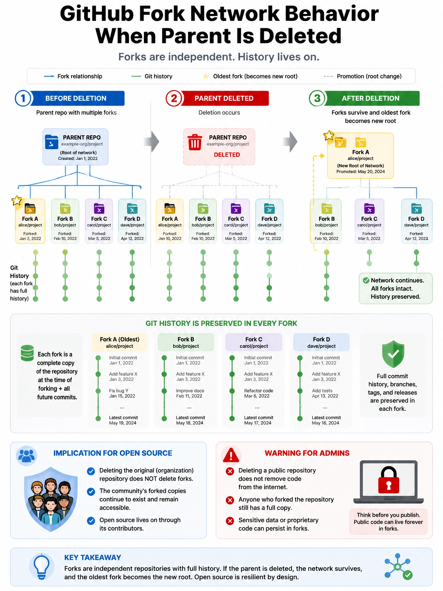 Educational infographic showing GitHub fork network behavior when parent is deleted. Display parent repo connected to multiple forks. Then show parent deletion → forks survive → oldest fork promoted to network root. Show git history preserved in forks. Include implication for open source: deleting org repo doesn't delete forked community copies. Show warning for admins: public code persists in forks. Git network tree visualization with deletion and promotion animation. 1024x768 pixels.