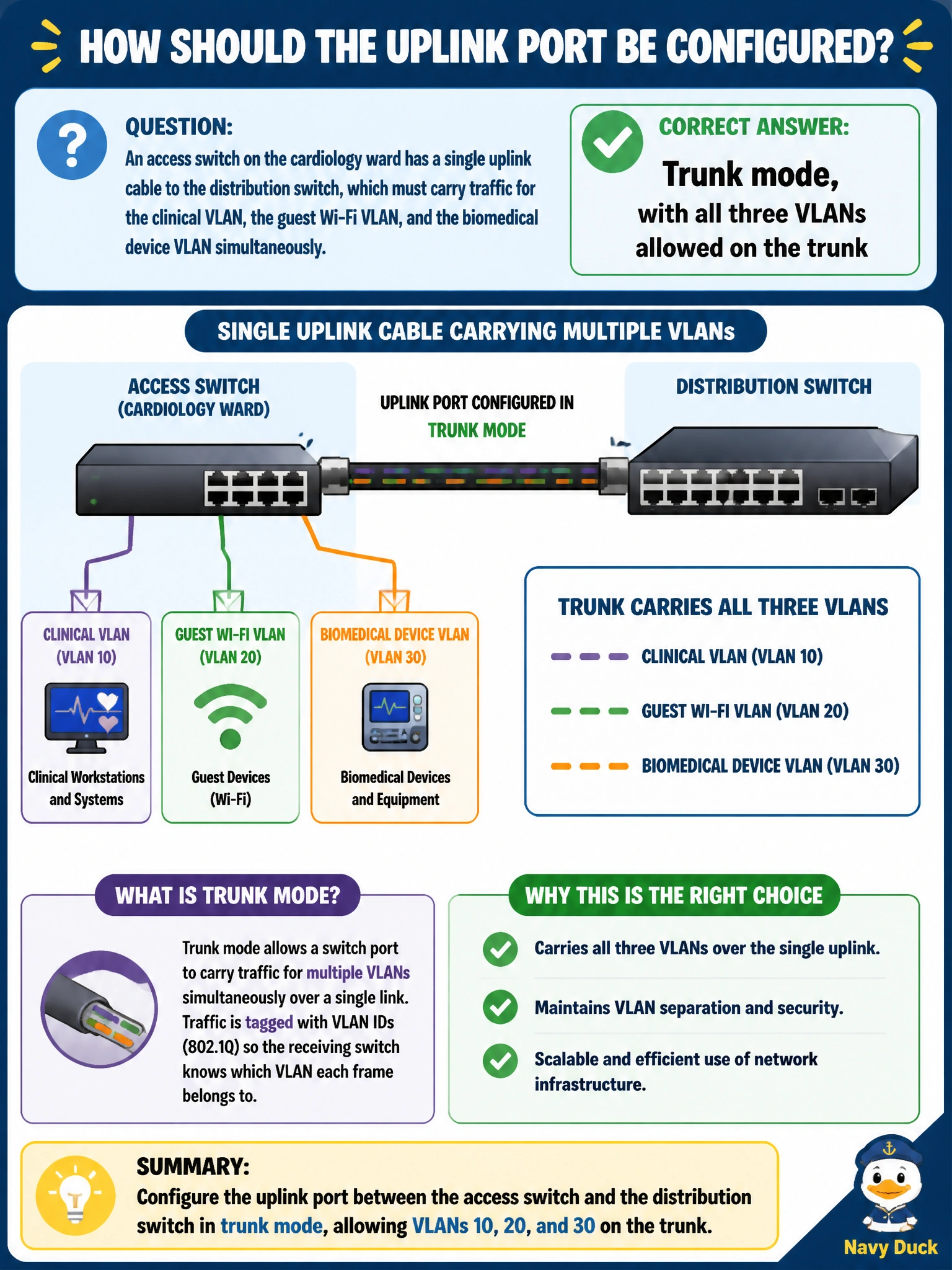 To Create an exciting colorful infographic that explains the concepts in the question: Question: An access switch on the cardiology ward has a single uplink cable to the distribution switch, which must carry traffic for the clinical VLAN, the guest Wi-Fi VLAN, and the biomedical device VLAN simultaneously. How should this uplink port be configured? Correct Answer: Trunk mode, with all three VLANs allowed on the trunk Put EVERY visible label in double quotes. No people. No A/B/C/D letters. In one of the four corners put a little "Navy Duck".