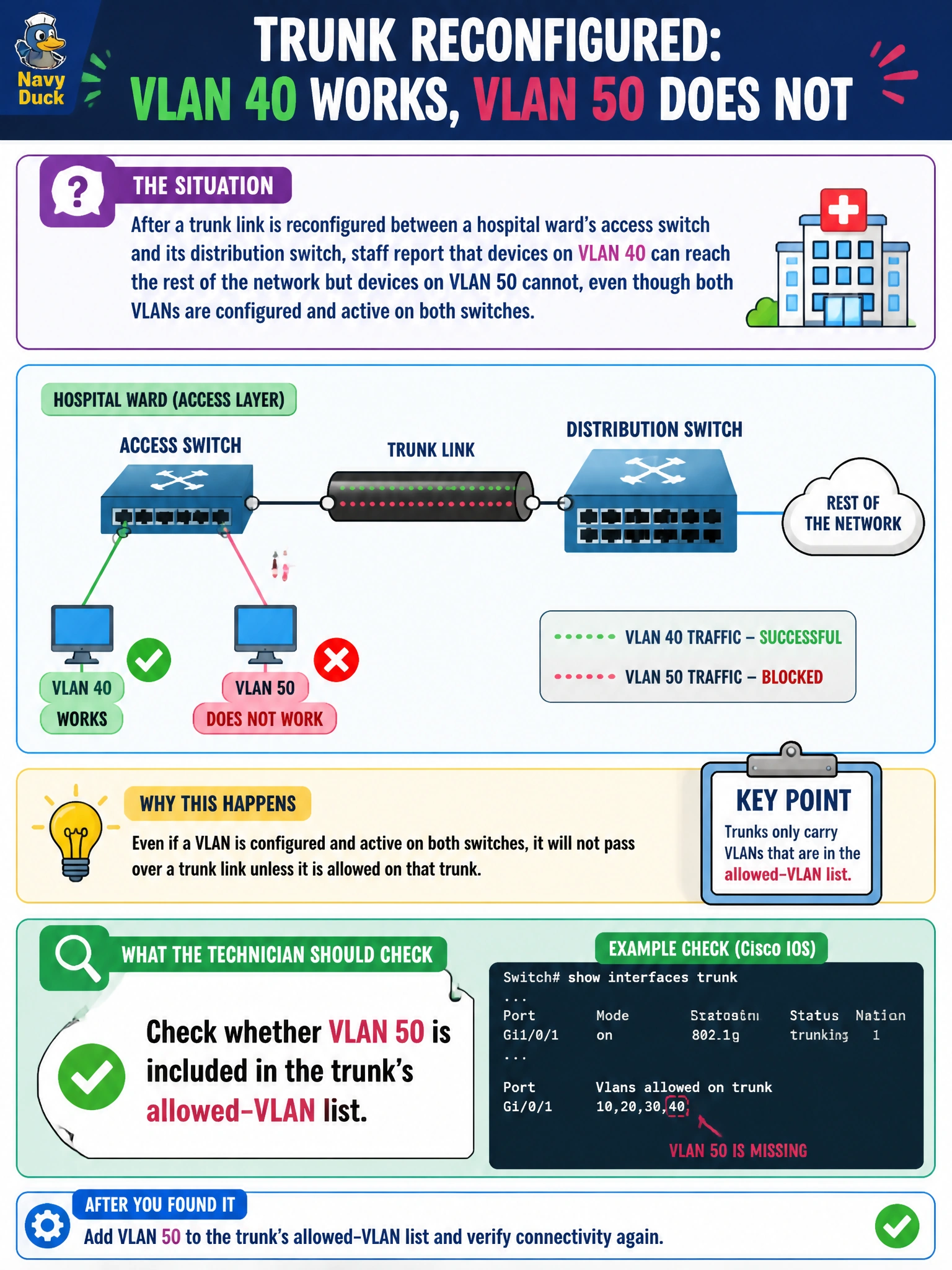 To Create an exciting colorful infographic that explains the concepts in the question: Question: After a trunk link is reconfigured between a hospital ward's access switch and its distribution switch, staff report that devices on VLAN 40 can reach the rest of the network but devices on VLAN 50 cannot, even though both VLANs are configured and active on both switches. What should the technician check on the trunk? Correct Answer: Whether VLAN 50 is included in the trunk's allowed-VLAN list. Put EVERY visible label in double quotes. No people. No A/B/C/D letters. In one of the four corners put a little "Navy Duck".