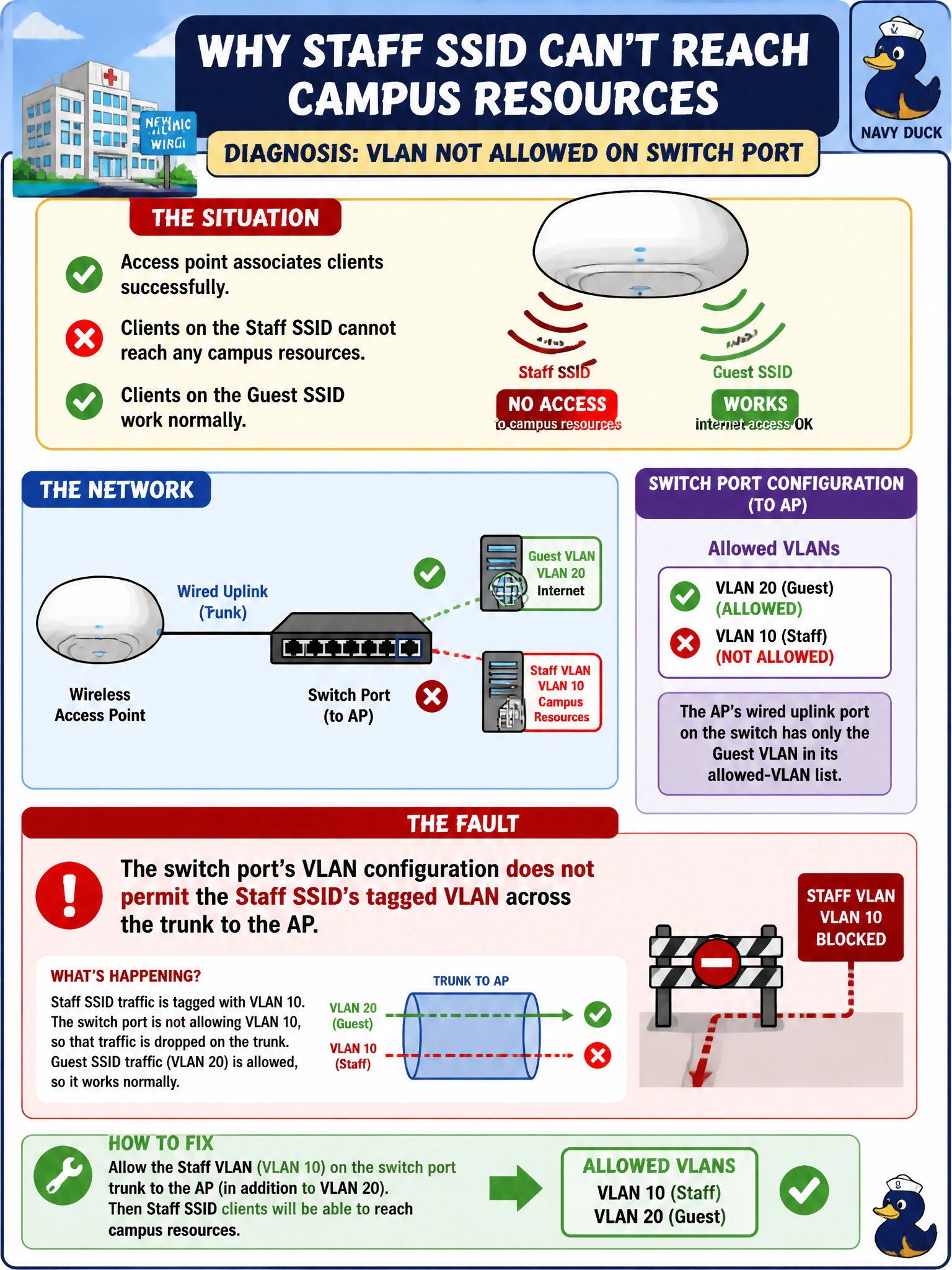 To Create an exciting colorful infographic that explains the concepts in the question: Question: A wireless access point mounted in a new hospital clinic wing associates clients successfully, but every client that connects to the staff SSID ends up unable to reach any campus resources, while the same AP's guest SSID works normally. The technician confirms the AP's wired uplink port on the switch has only the guest VLAN in its allowed-VLAN list. What is the fault? Correct Answer: The switch port's VLAN configuration does not permit the staff SSID's tagged VLAN across the trunk to the AP. Put EVERY visible label in double quotes. No people. No A/B/C/D letters. In one of the four corners put a little "Navy Duck".