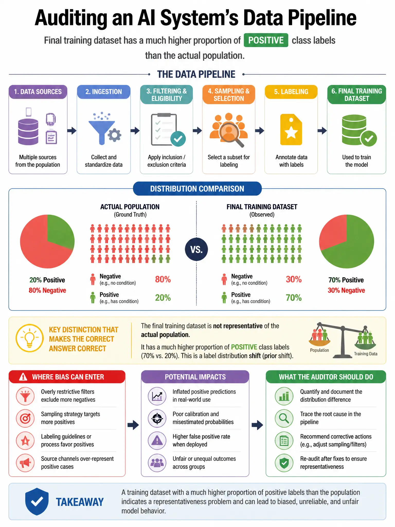 Portrait educational infographic teaching: When auditing an AI system's data pipeline, the auditor discovers that the final training dataset has a much higher proportion of positive class labels than the actual population. . Show labeled components, decision flow, and the key distinction that makes the correct answer correct. Clean modern diagram style.