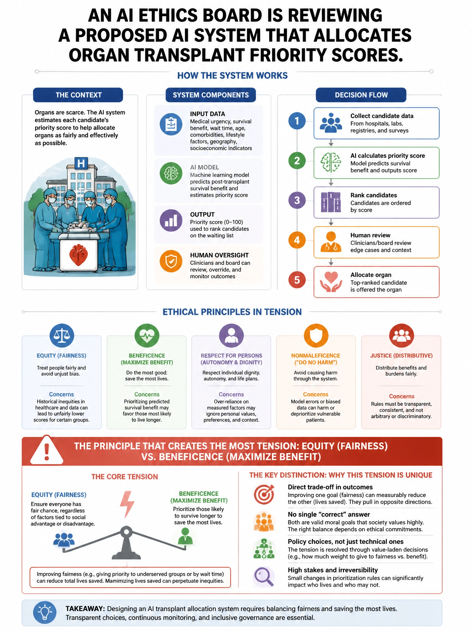Portrait educational infographic teaching: An AI ethics board is reviewing a proposed AI system that allocates organ transplant priority scores. Which ethical principle creates the MOST tension when designing this system?. Show labeled components, decision flow, and the key distinction that makes the correct answer correct. Clean modern diagram style.