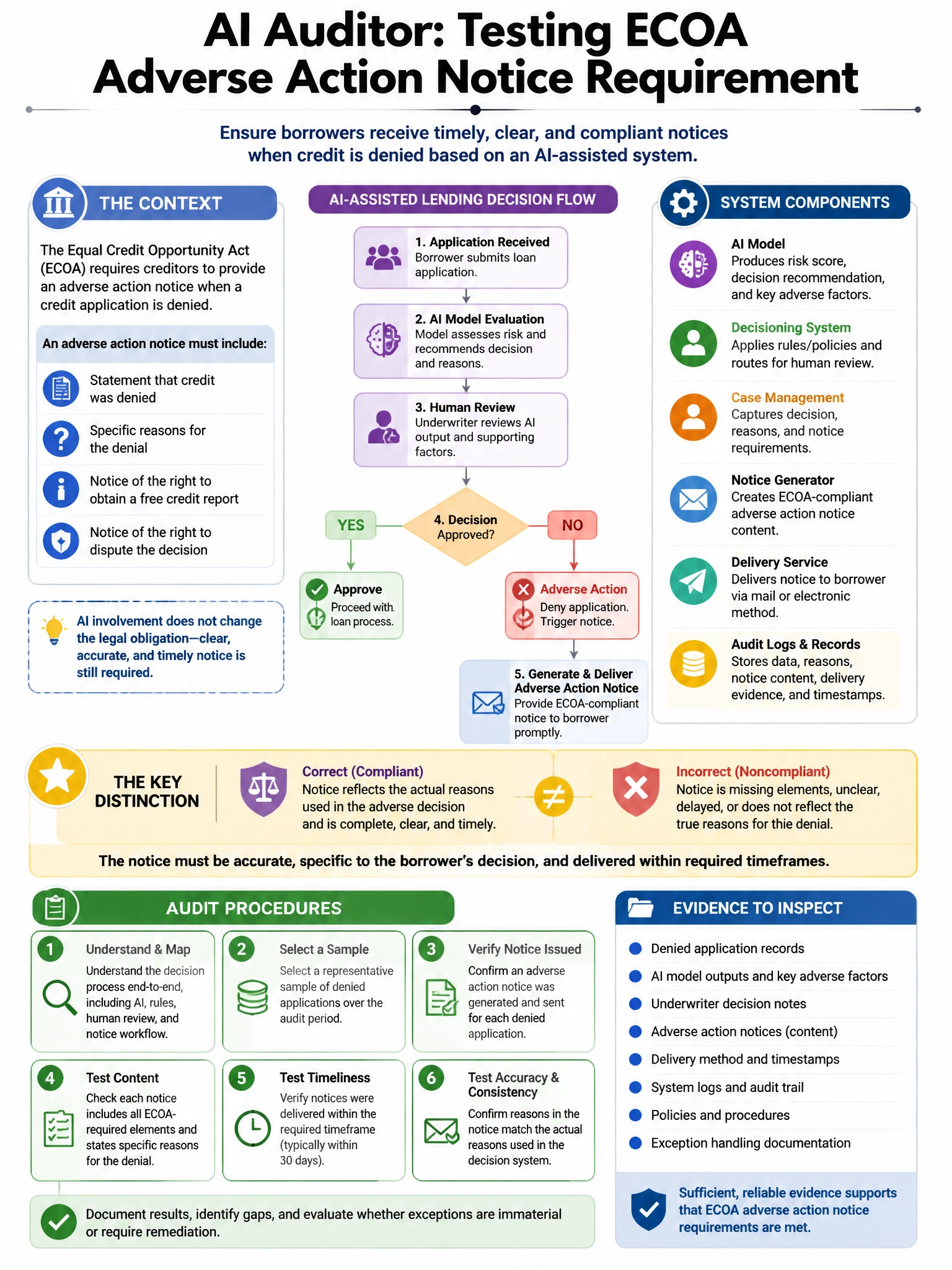 Portrait educational infographic teaching: An AI auditor needs to test whether an AI-assisted lending decision system satisfies the Equal Credit Opportunity Act (ECOA)'s adverse action notice requirement. What audit procedu. Show labeled components, decision flow, and the key distinction that makes the correct answer correct. Clean modern diagram style.