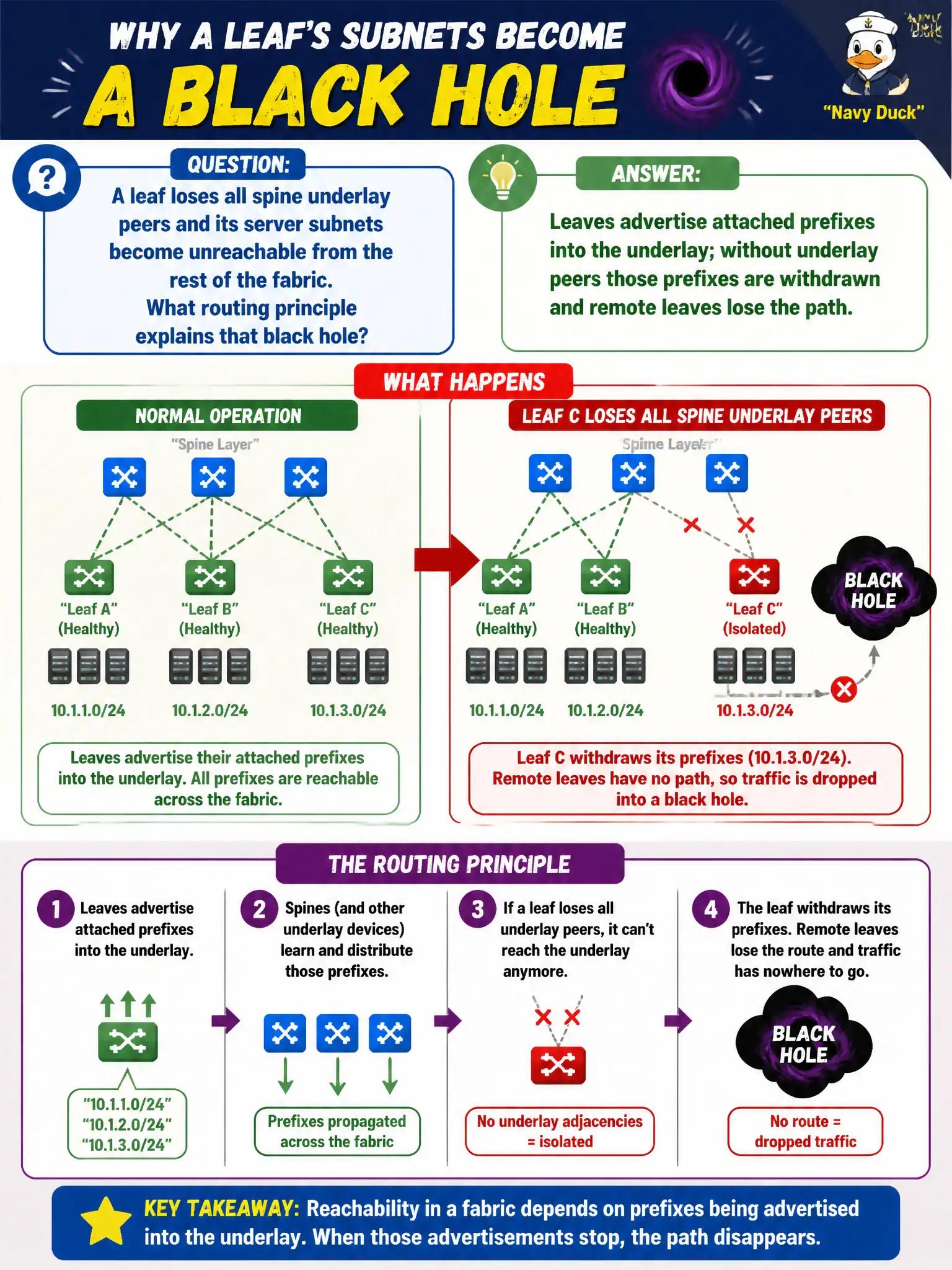 To Create an exciting colorful infographic that explains the concepts in the question: Question: A leaf loses all spine underlay peers and its server subnets become unreachable from the rest of the civic fabric. What routing principle explains that black hole? Correct Answer: Leaves advertise attached prefixes into the underlay; without underlay peers those prefixes are withdrawn and remote leaves lose the path Put EVERY visible label in double quotes. No people. No A/B/C/D letters. In one of the four corners put a little "Navy Duck".