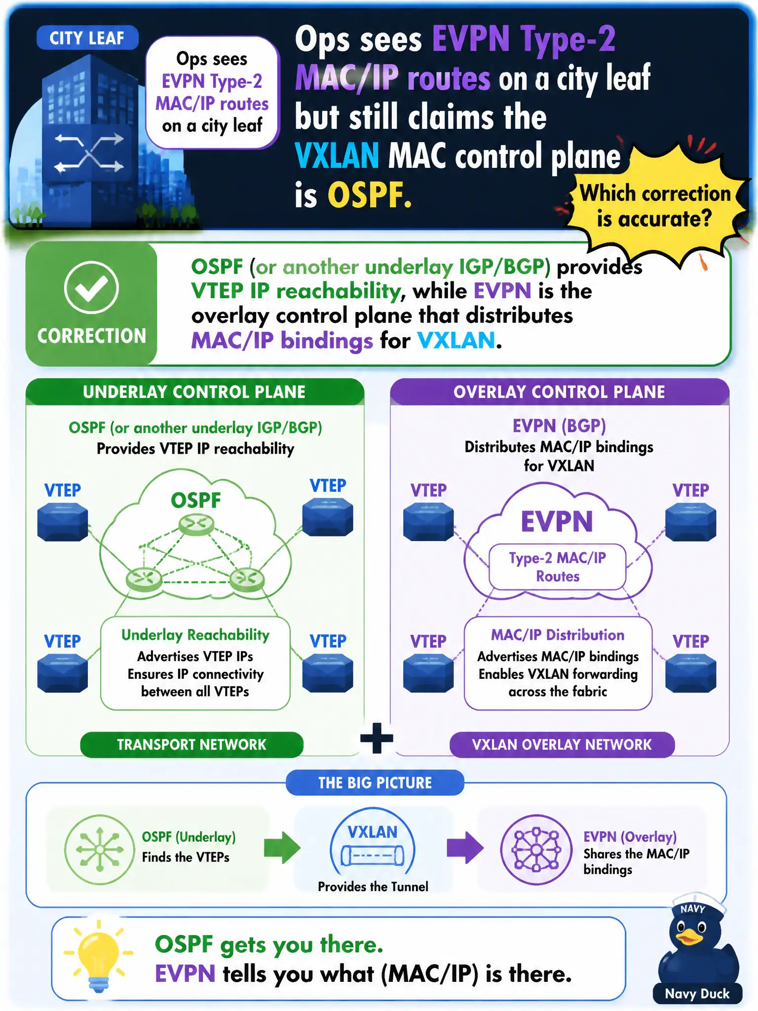 To Create an exciting colorful infographic that explains the concepts in the question: Question: Ops sees EVPN Type-2 MAC/IP routes on a city leaf but still claims the VXLAN MAC control plane is OSPF. Which correction is accurate? Correct Answer: OSPF (or another underlay IGP/BGP) provides VTEP IP reachability, while EVPN is the overlay control plane that distributes MAC/IP bindings for VXLAN. Put EVERY visible label in double quotes. No people. No A/B/C/D letters. In one of the four corners put a little "Navy Duck".