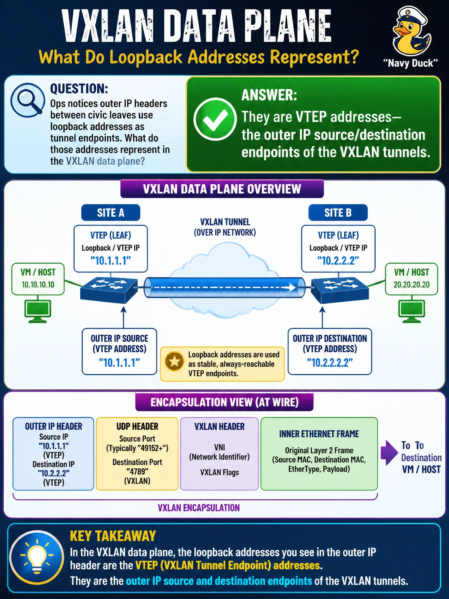 To Create an exciting colorful infographic that explains the concepts in the question: Question: Ops notices outer IP headers between civic leaves use loopback addresses as tunnel endpoints. What do those addresses represent in the VXLAN data plane? Correct Answer: They are VTEP addresses—the outer IP source/destination endpoints of the VXLAN tunnels. Put EVERY visible label in double quotes. No people. No A/B/C/D letters. In one of the four corners put a little "Navy Duck".