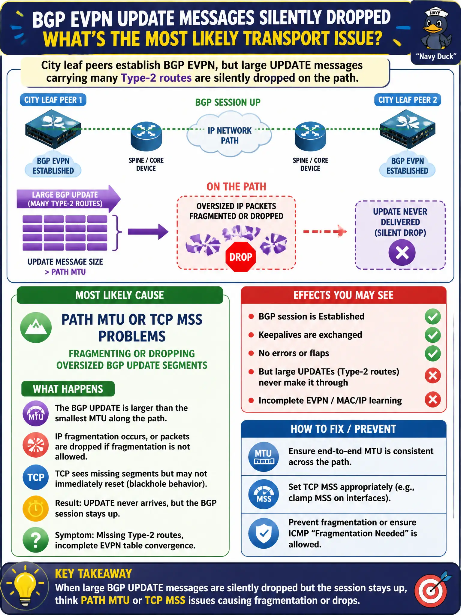 To Create an exciting colorful infographic that explains the concepts in the question: Question: City leaf peers establish BGP EVPN, but large UPDATE messages carrying many Type-2 routes are silently dropped on the path. Which transport health issue is the most likely cause? Correct Answer: Path MTU or TCP MSS problems fragmenting or dropping oversized BGP UPDATE segments Put EVERY visible label in double quotes. No people. No A/B/C/D letters. In one of the four corners put a little "Navy Duck".