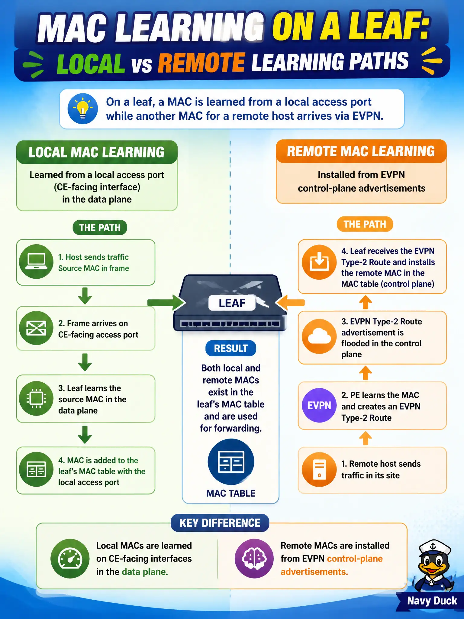 To Create an exciting colorful infographic that explains the concepts in the question: Question: On a leaf, a MAC is learned from a local access port while another MAC for a remote host arrives via EVPN. How do those learning paths differ? Correct Answer: Local MACs are learned on CE-facing interfaces in the data plane; remote MACs are installed from EVPN control-plane advertisements Put EVERY visible label in double quotes. No people. No A/B/C/D letters. In one of the four corners put a little "Navy Duck".