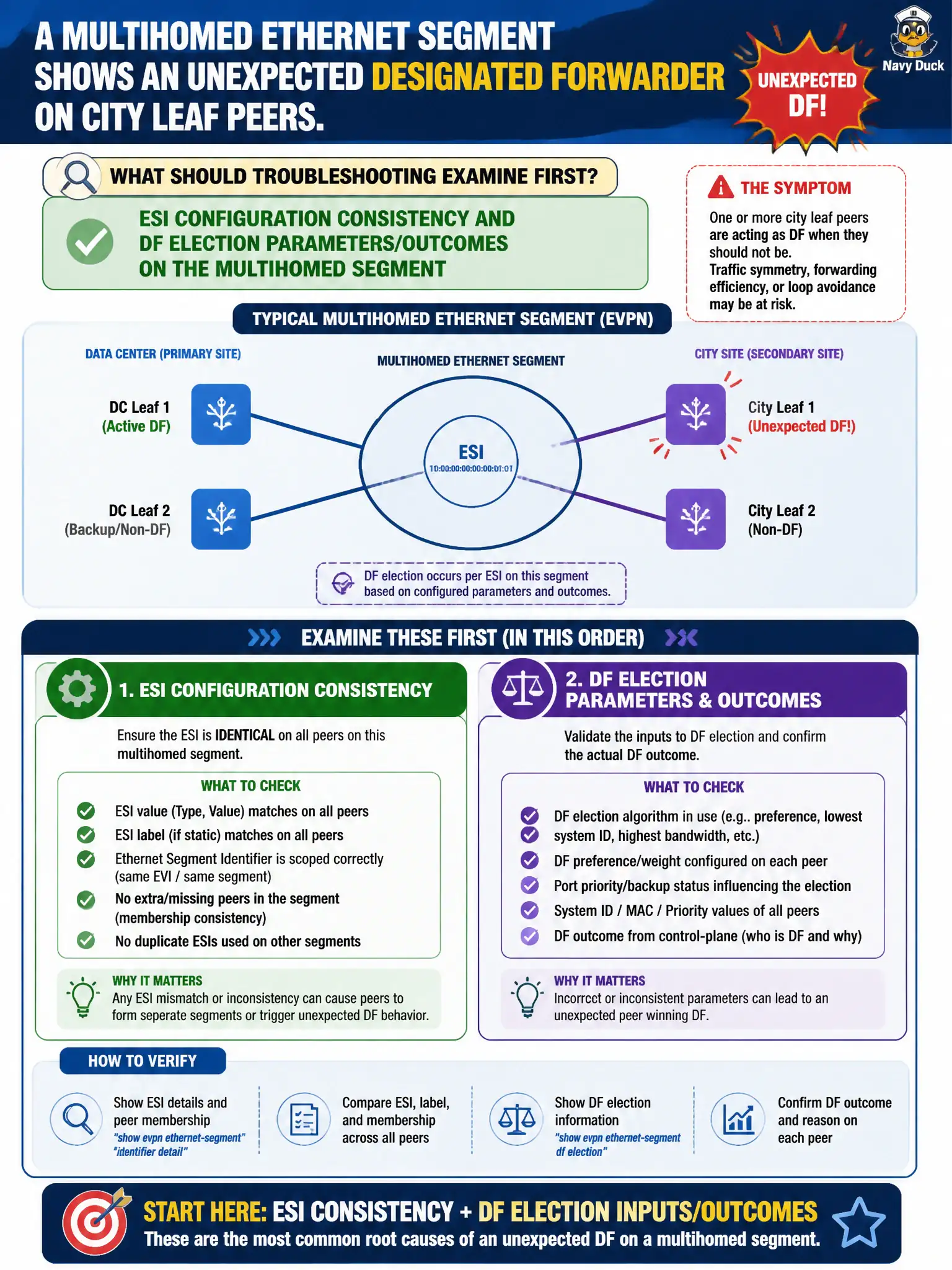 To Create an exciting colorful infographic that explains the concepts in the question: Question: A multihomed Ethernet Segment shows an unexpected Designated Forwarder on city leaf peers. What should troubleshooting examine first at professional depth? Correct Answer: ESI configuration consistency and DF election parameters/outcomes on the multihomed segment Put EVERY visible label in double quotes. No people. No A/B/C/D letters. In one of the four corners put a little "Navy Duck".